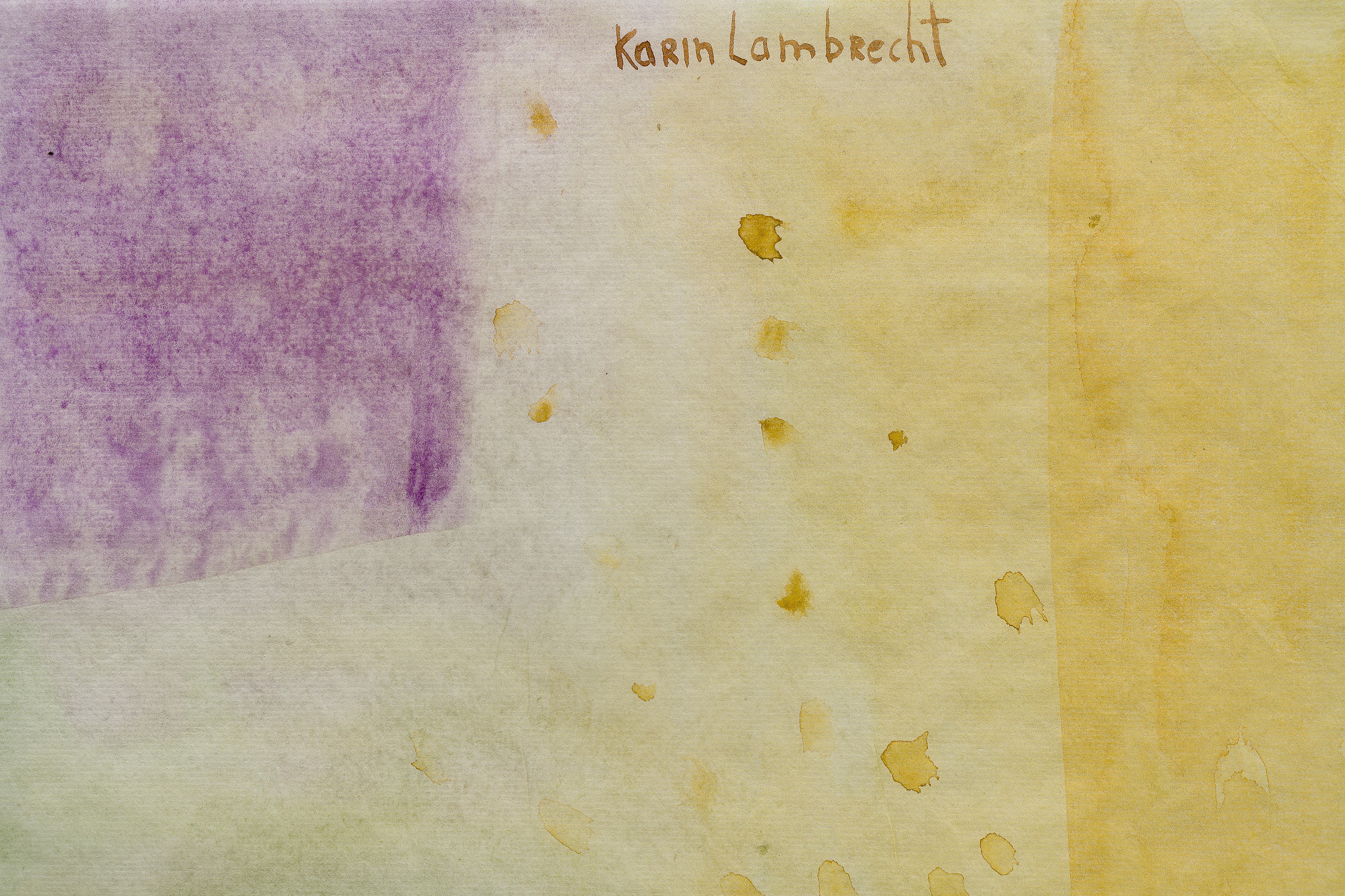 Karin Lambrecht, Sérgio Sister, Color Clímax at Nara Roesler, photo 35