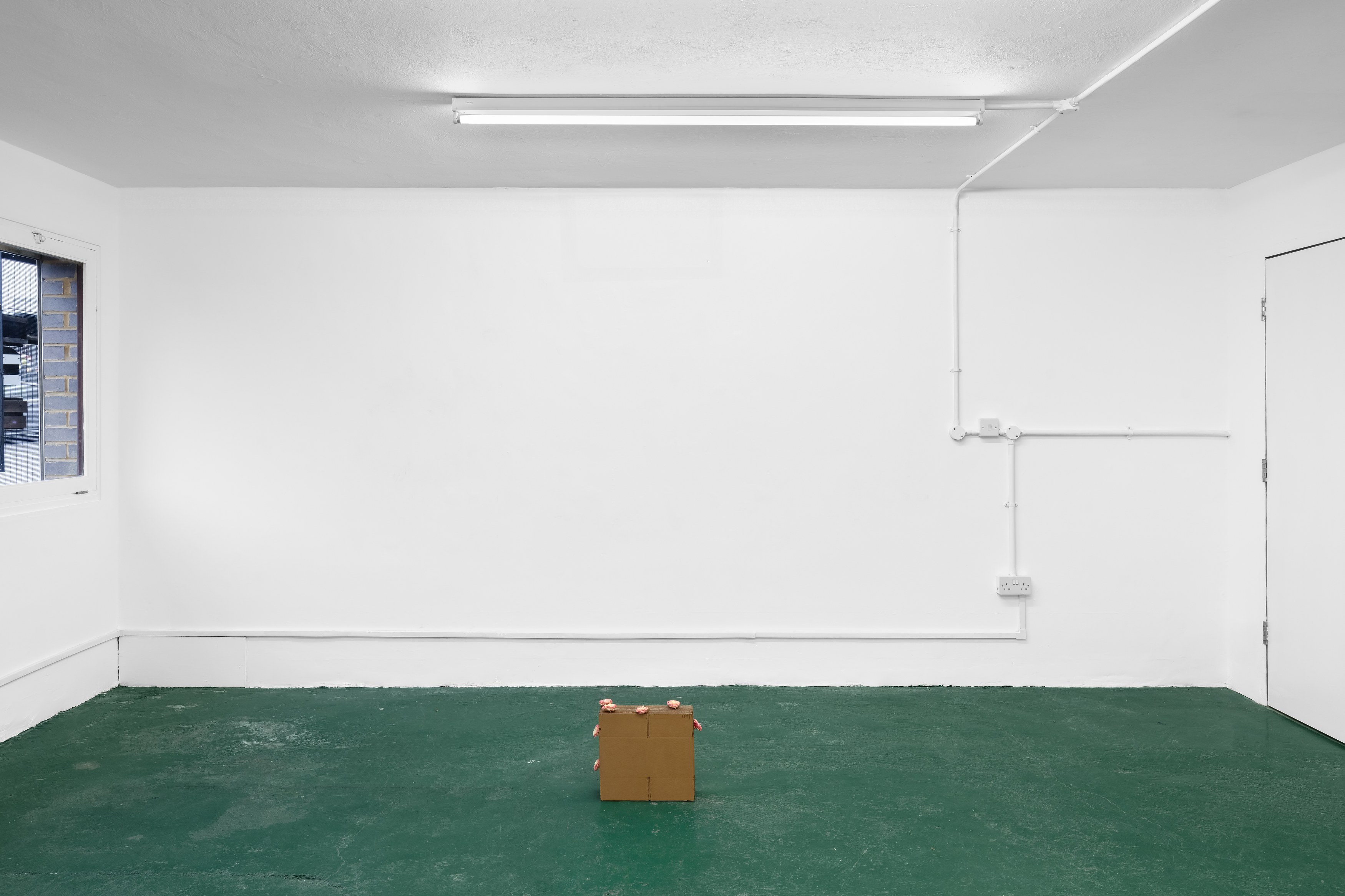 Gina Folly, Albert Riera Galceran, The sheep are my thoughts at Dorp, photo 8