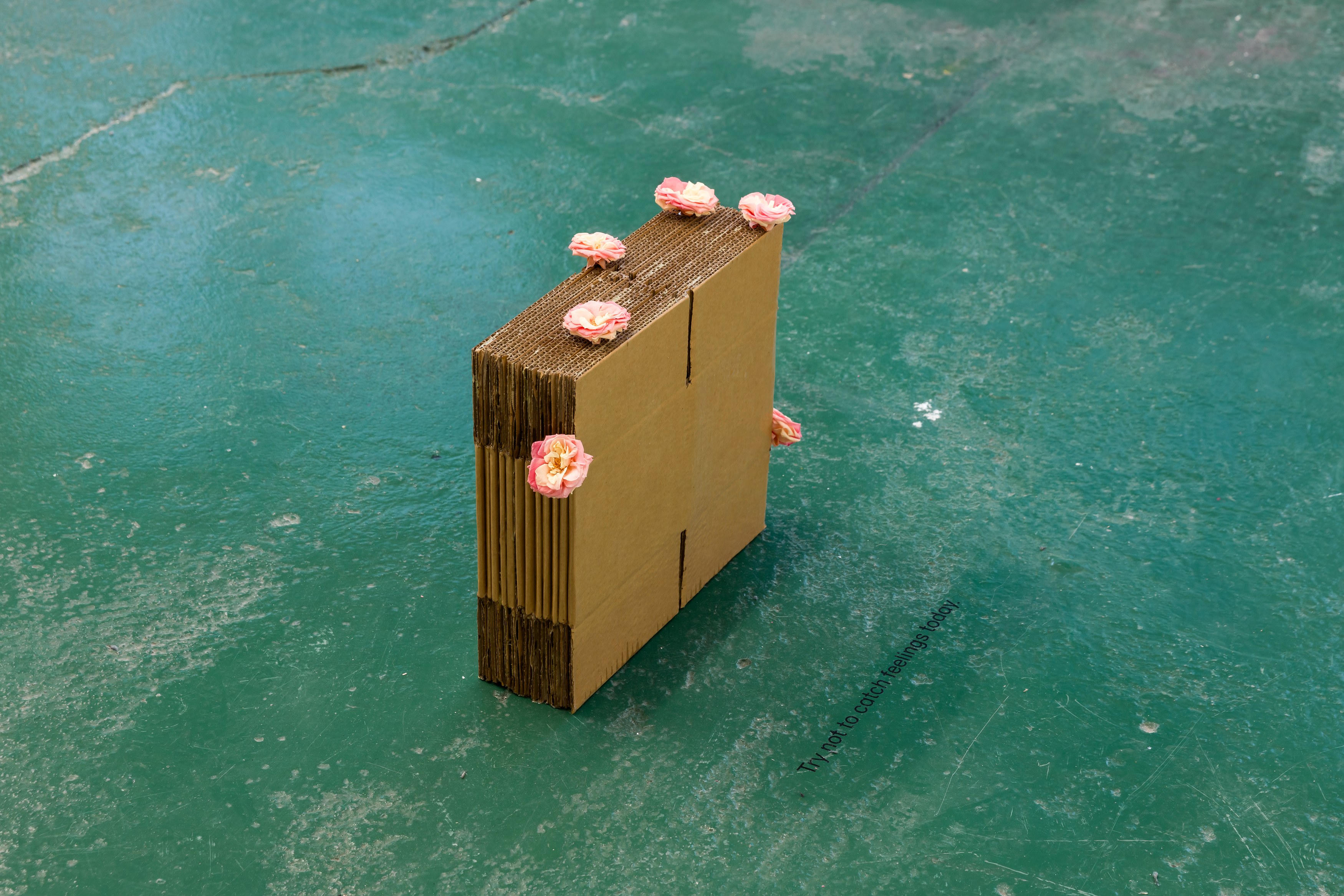 Gina Folly, Albert Riera Galceran, The sheep are my thoughts at Dorp, photo 10