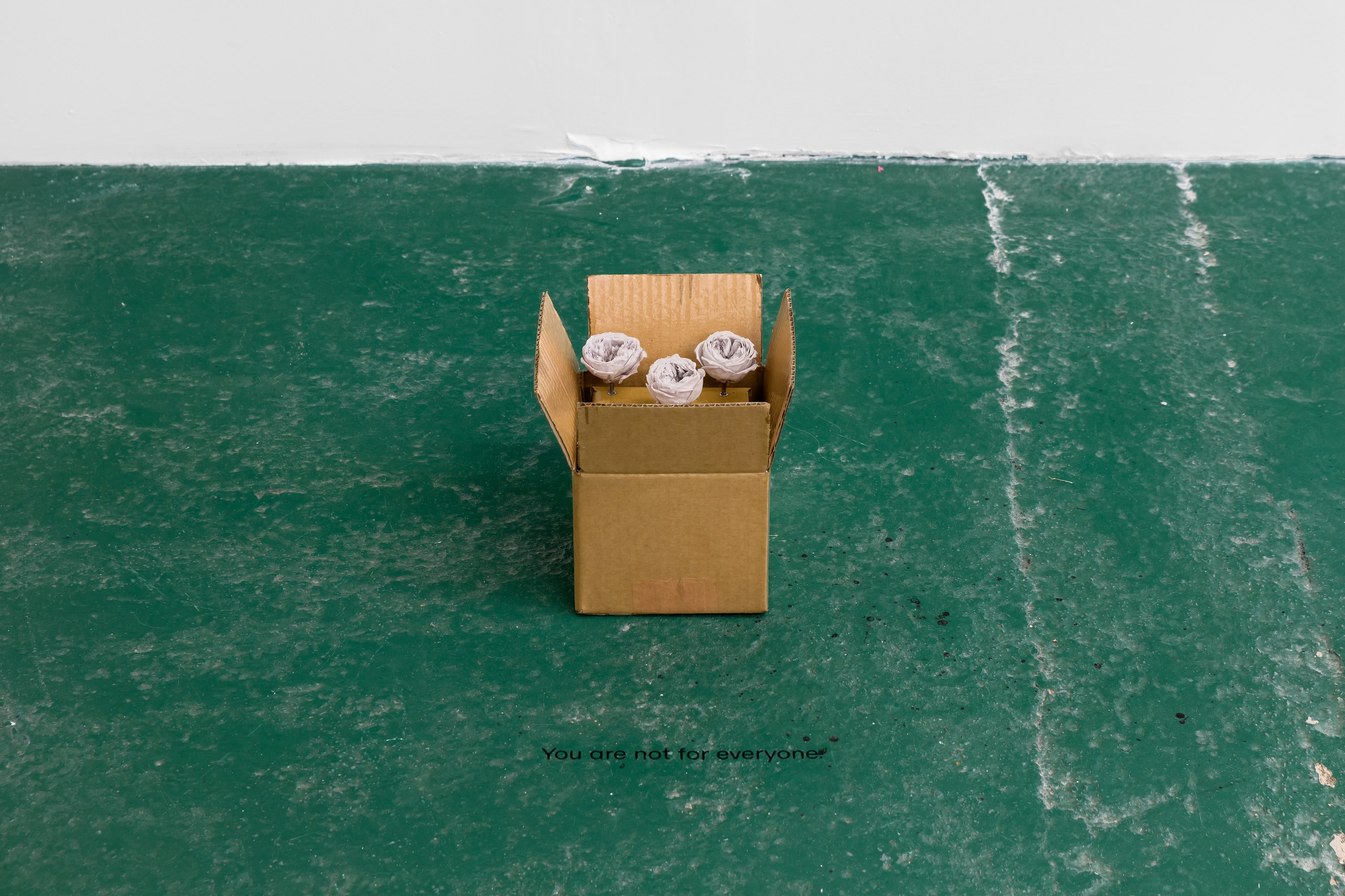 Gina Folly, Albert Riera Galceran, The sheep are my thoughts at Dorp, photo 11