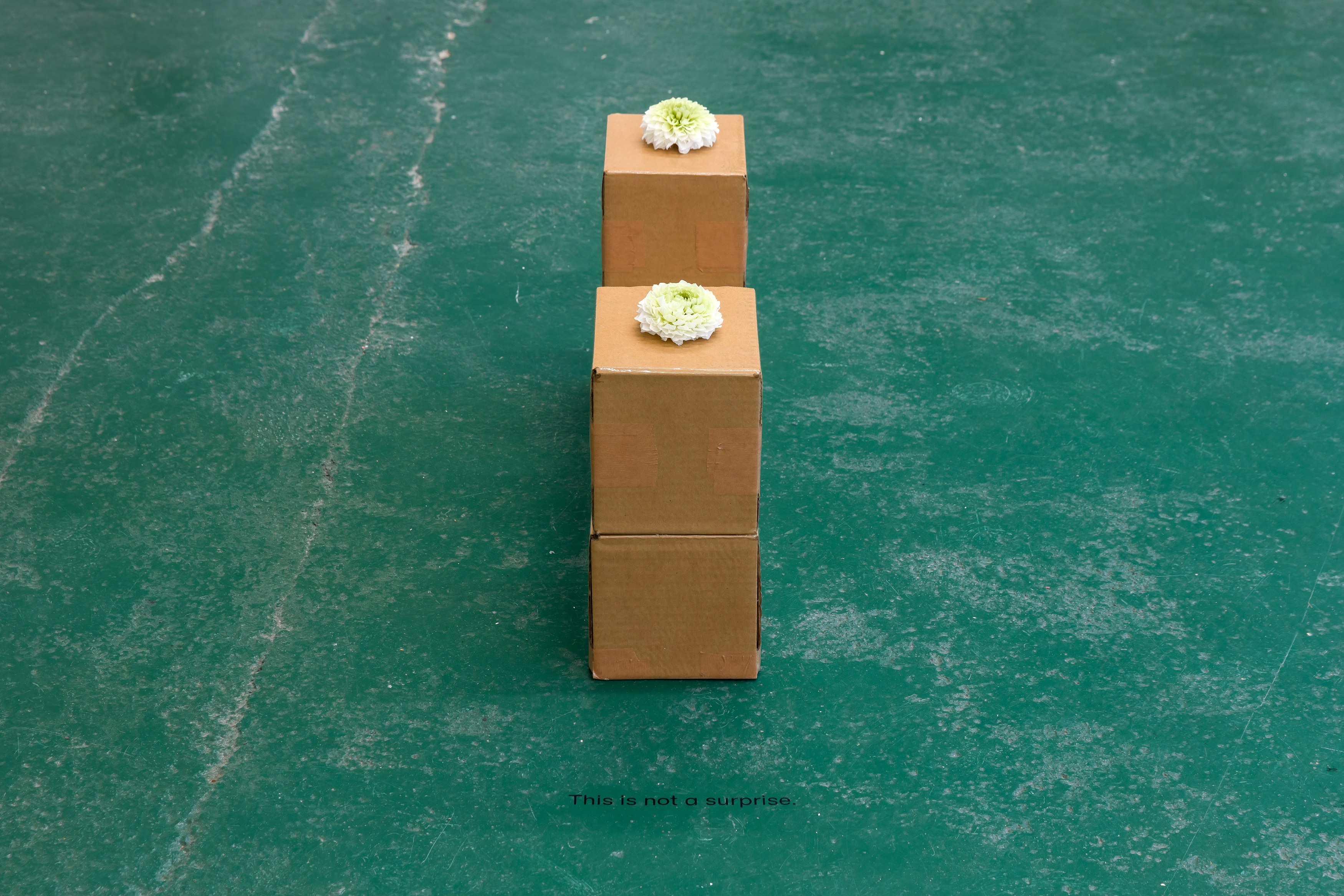 Gina Folly, Albert Riera Galceran, The sheep are my thoughts at Dorp, photo 15