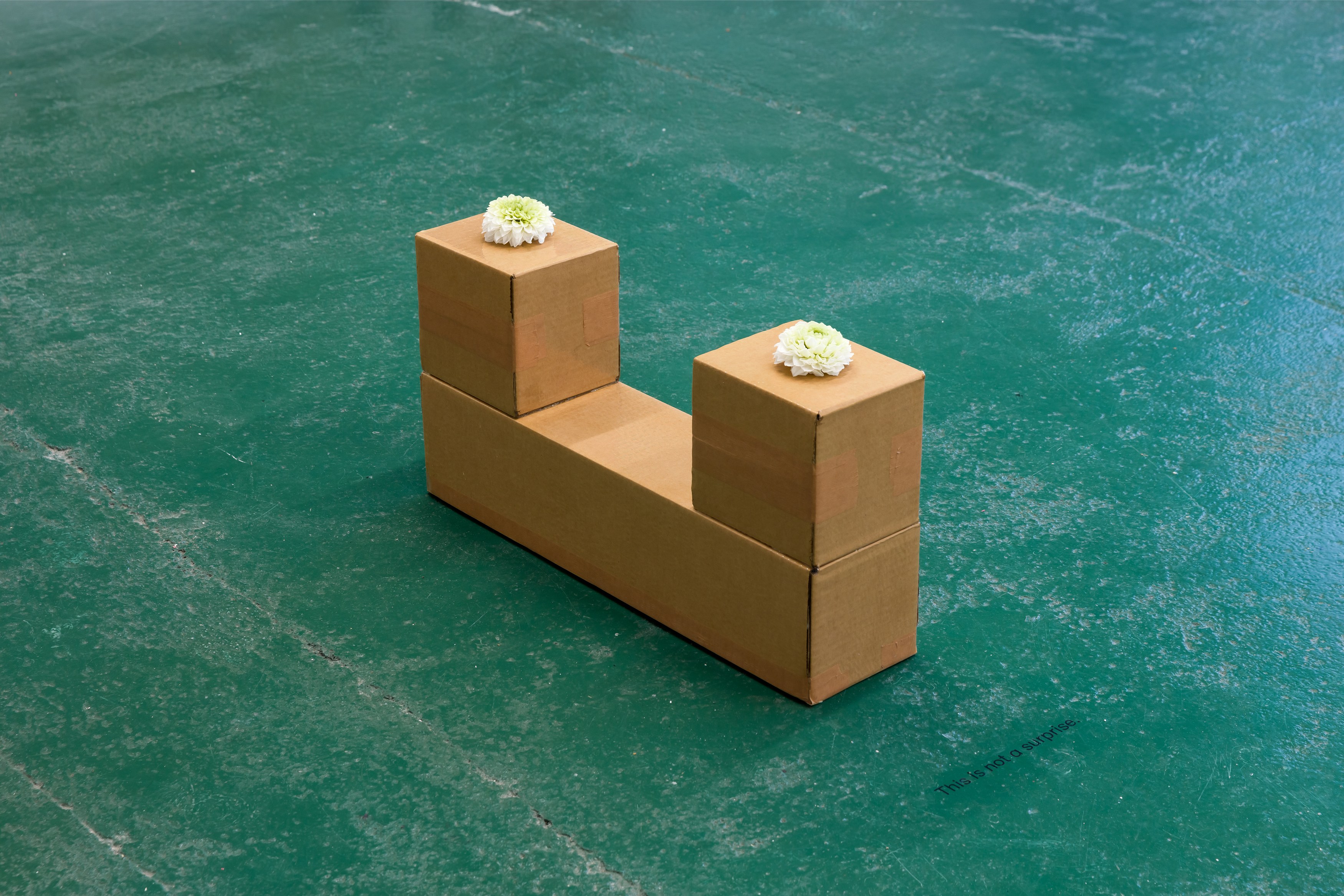 Gina Folly, Albert Riera Galceran, The sheep are my thoughts at Dorp, photo 16