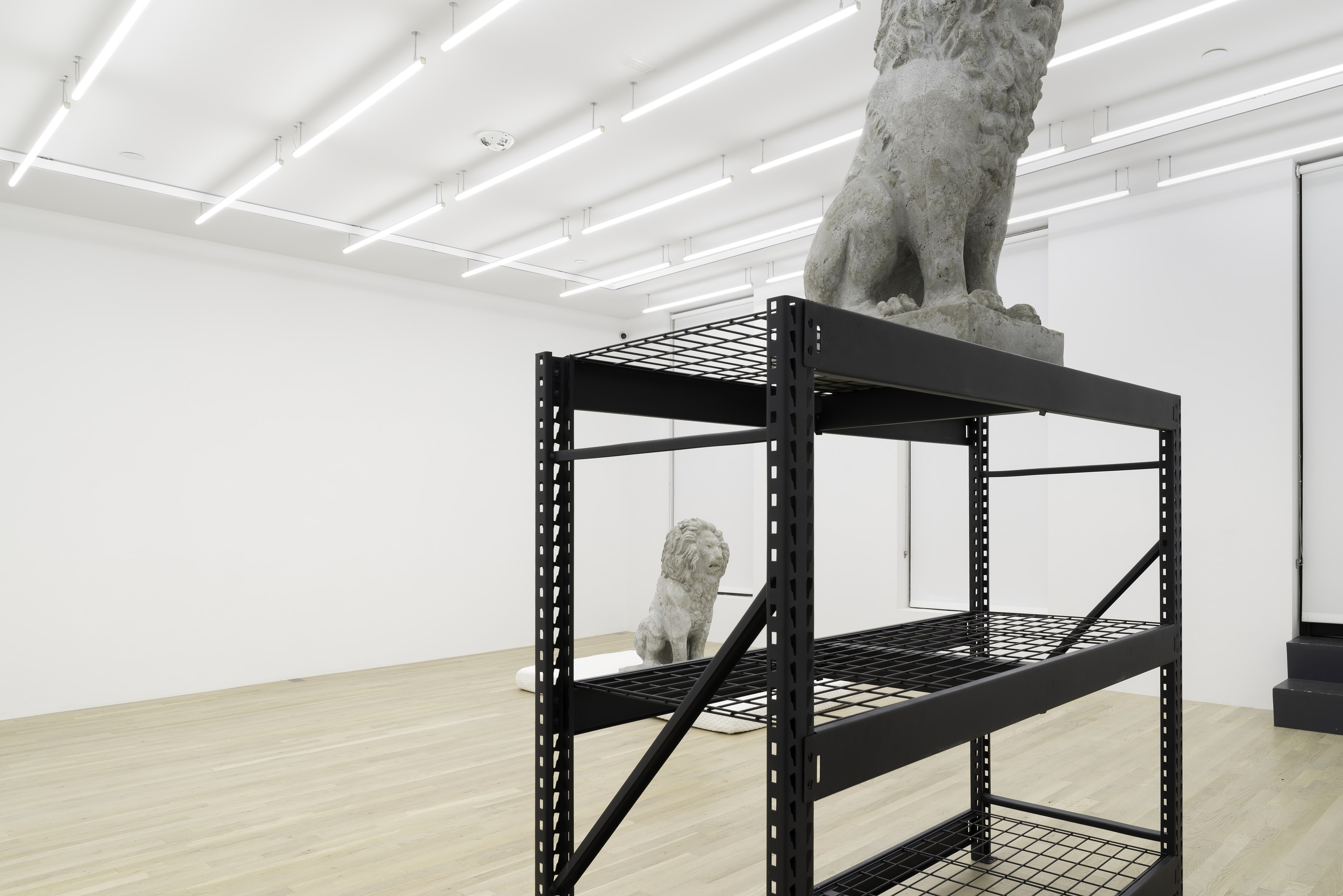 Daniel Boccato, Ghost Of at Magenta Plains, photo 2