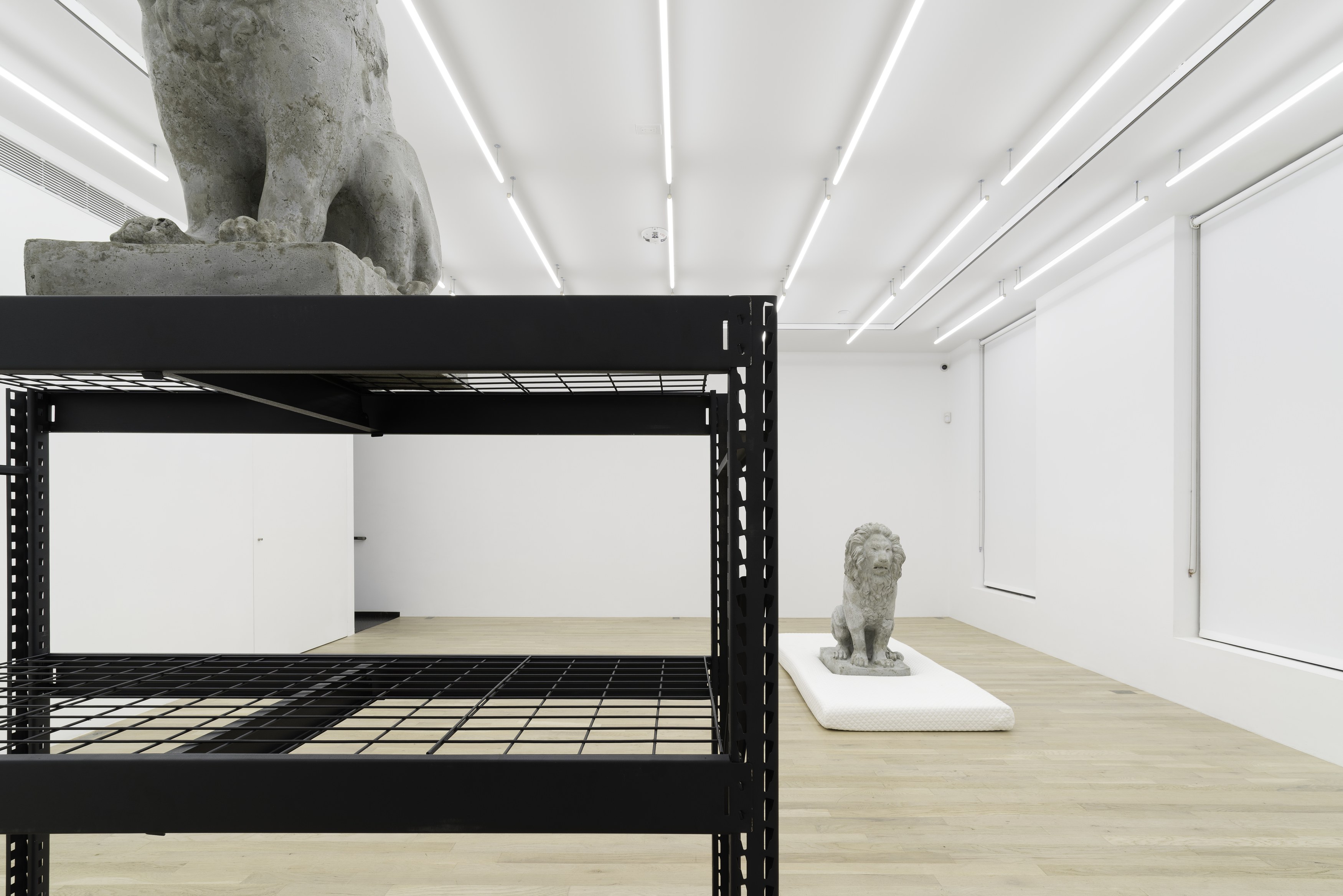 Daniel Boccato, Ghost Of at Magenta Plains, photo 3
