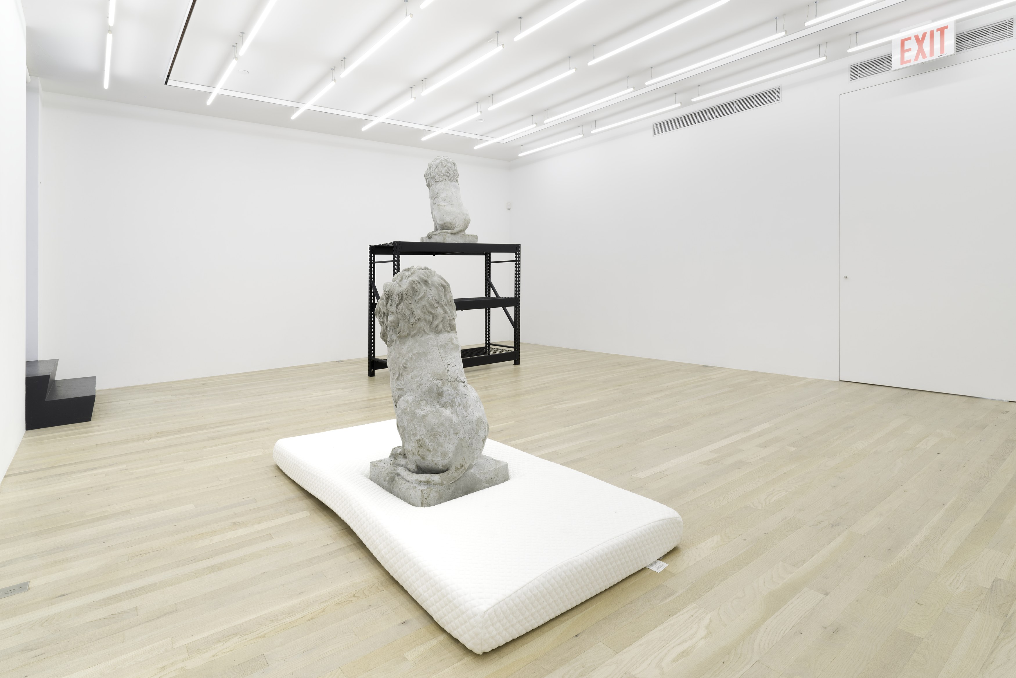 Daniel Boccato, Ghost Of at Magenta Plains, photo 6