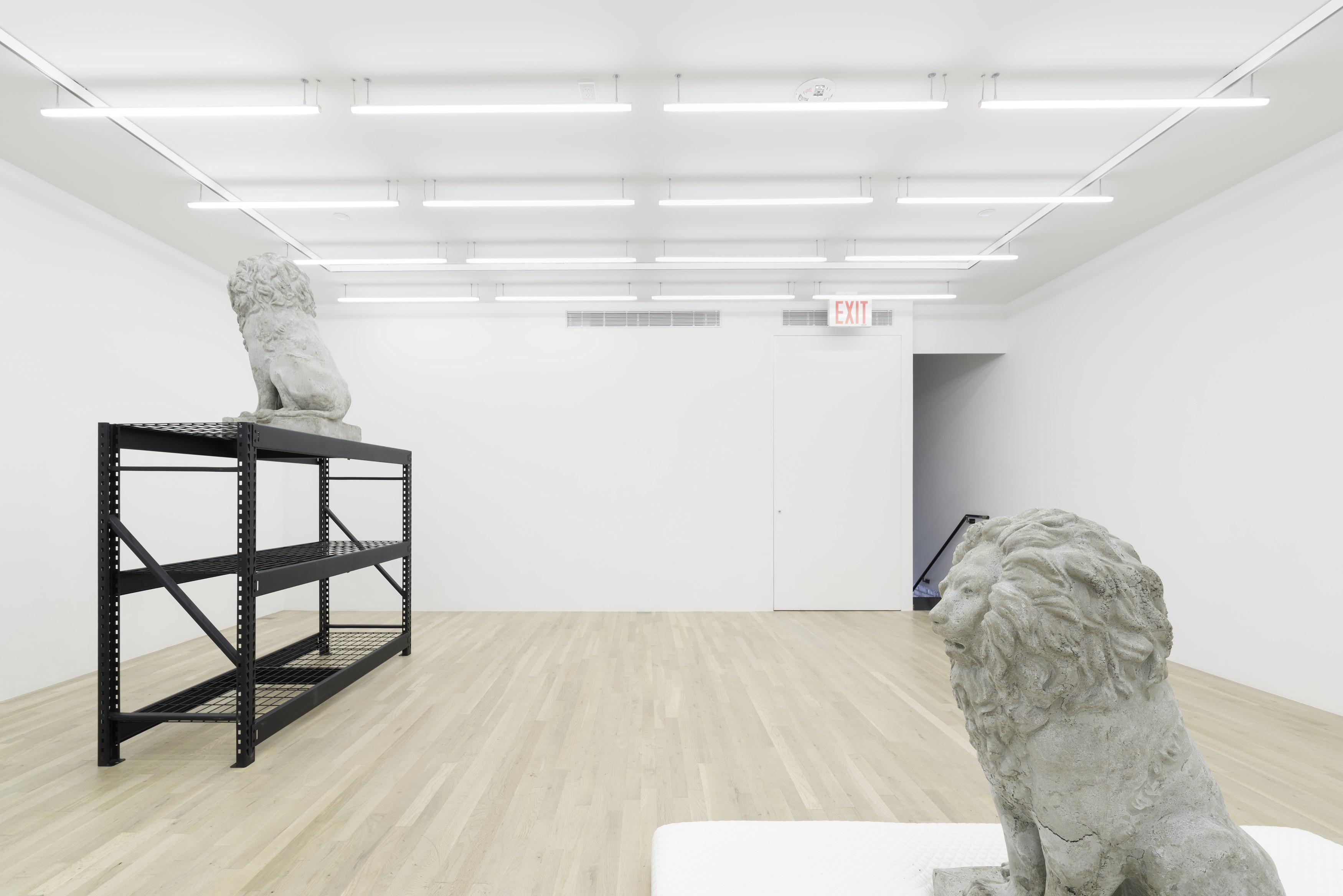 Daniel Boccato, Ghost Of at Magenta Plains, photo 5