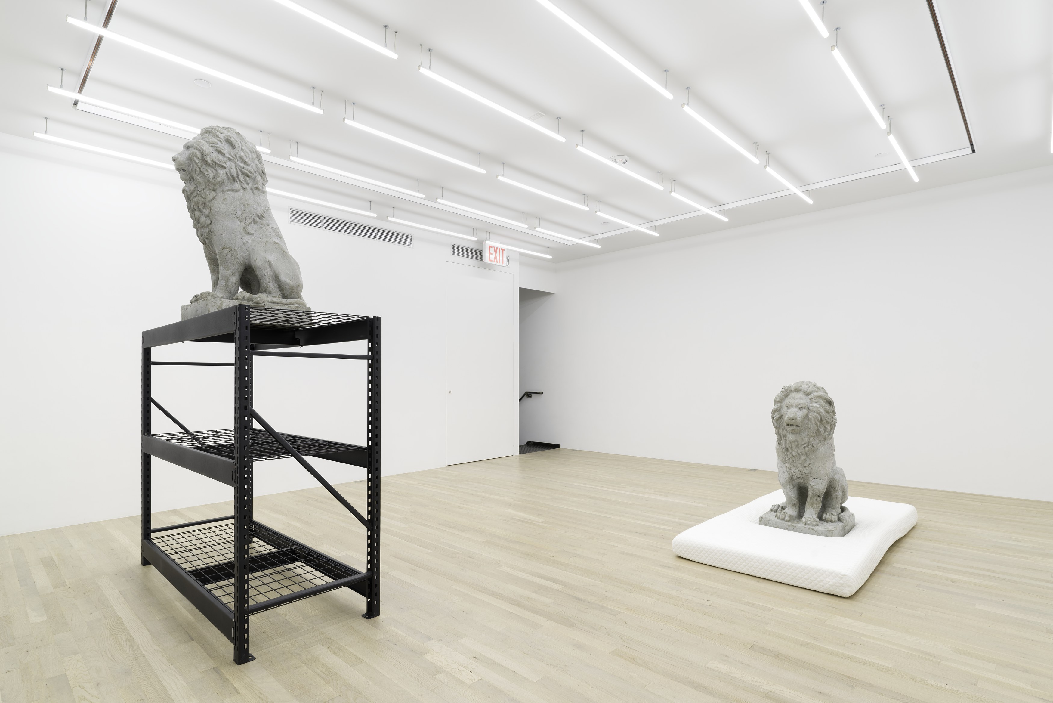 Daniel Boccato, Ghost Of at Magenta Plains, photo 4