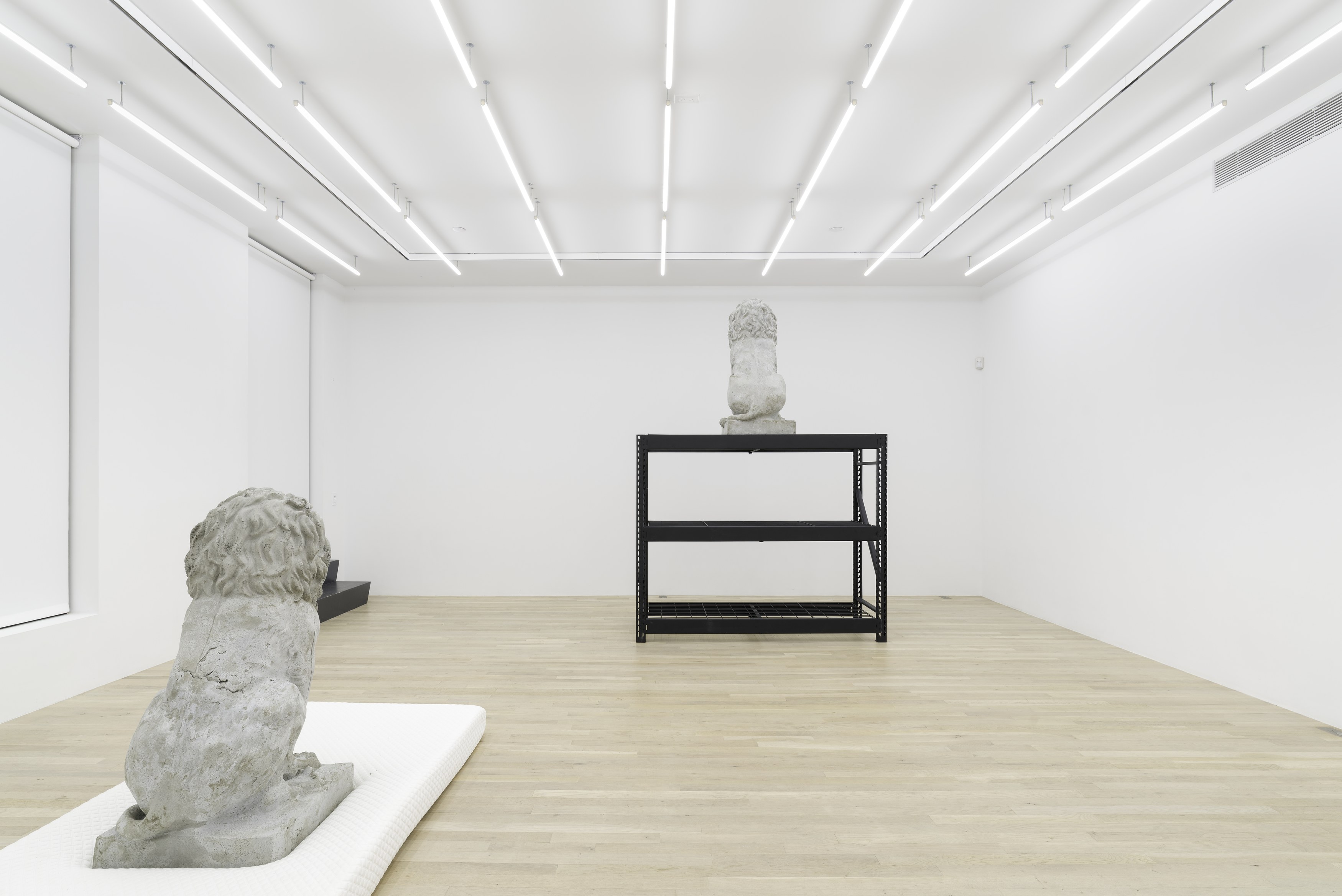 Daniel Boccato, Ghost Of at Magenta Plains, photo 7