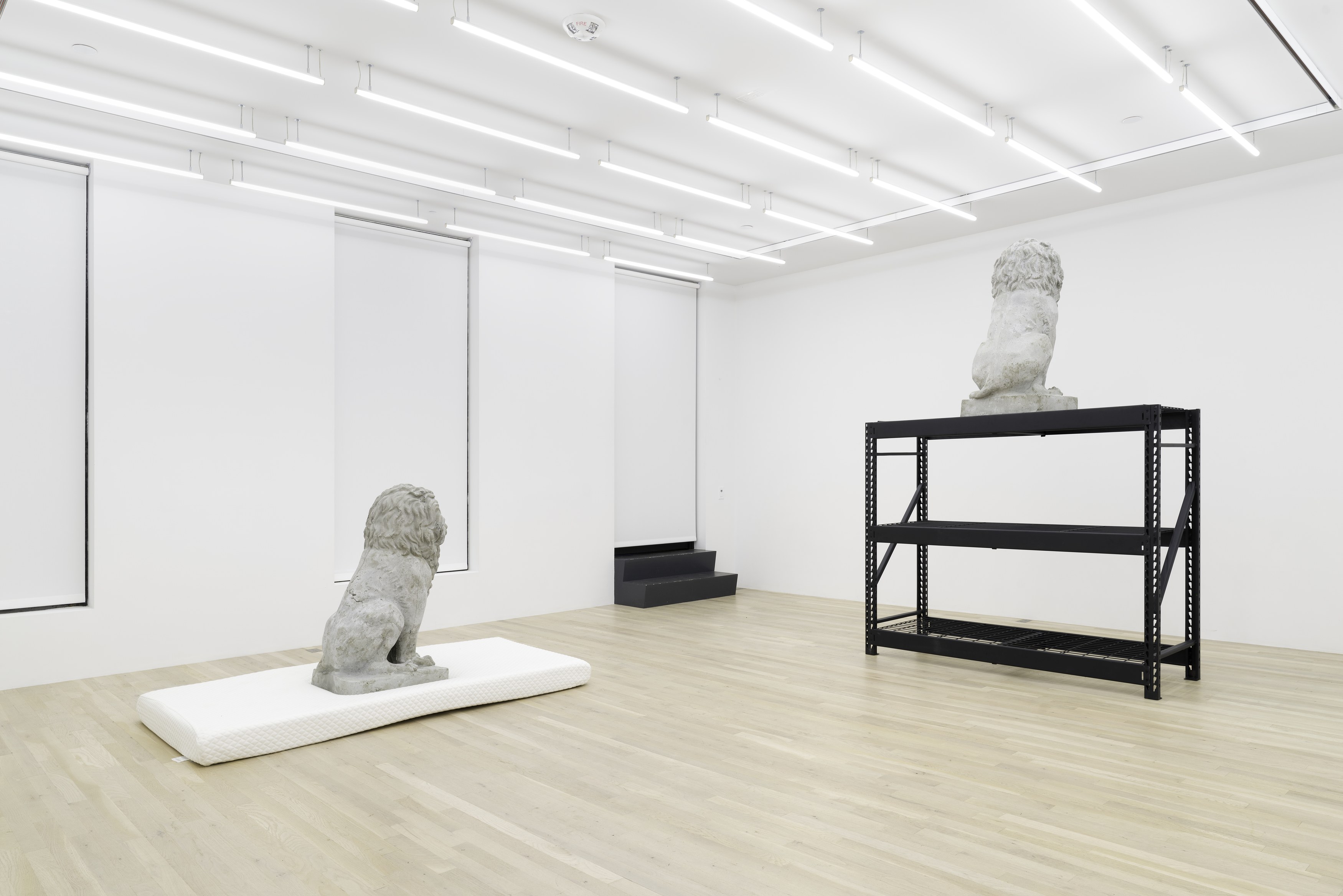 Daniel Boccato, Ghost Of at Magenta Plains, photo 8