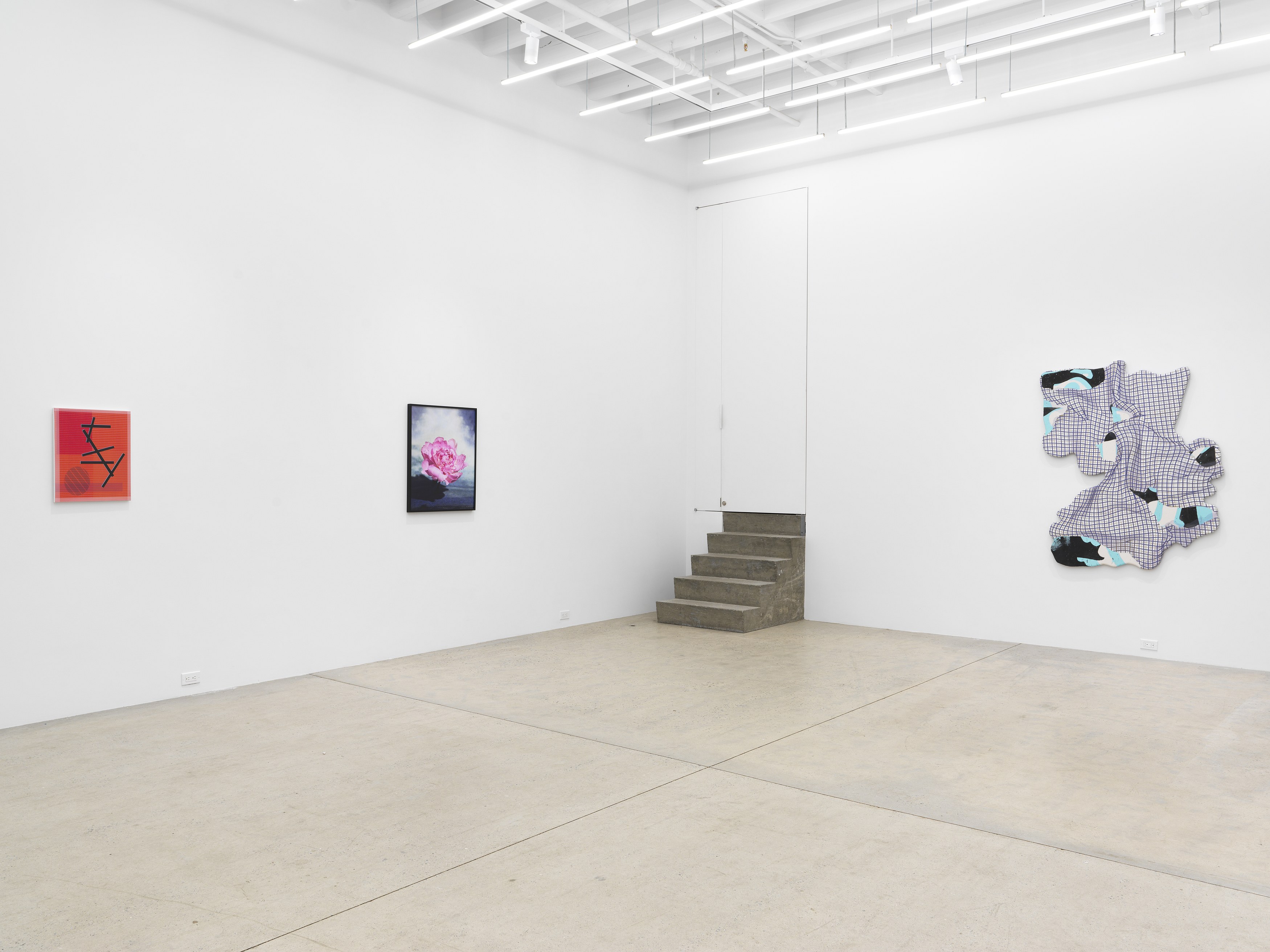 Hypervision, Hypervision at Magenta Plains, photo 3