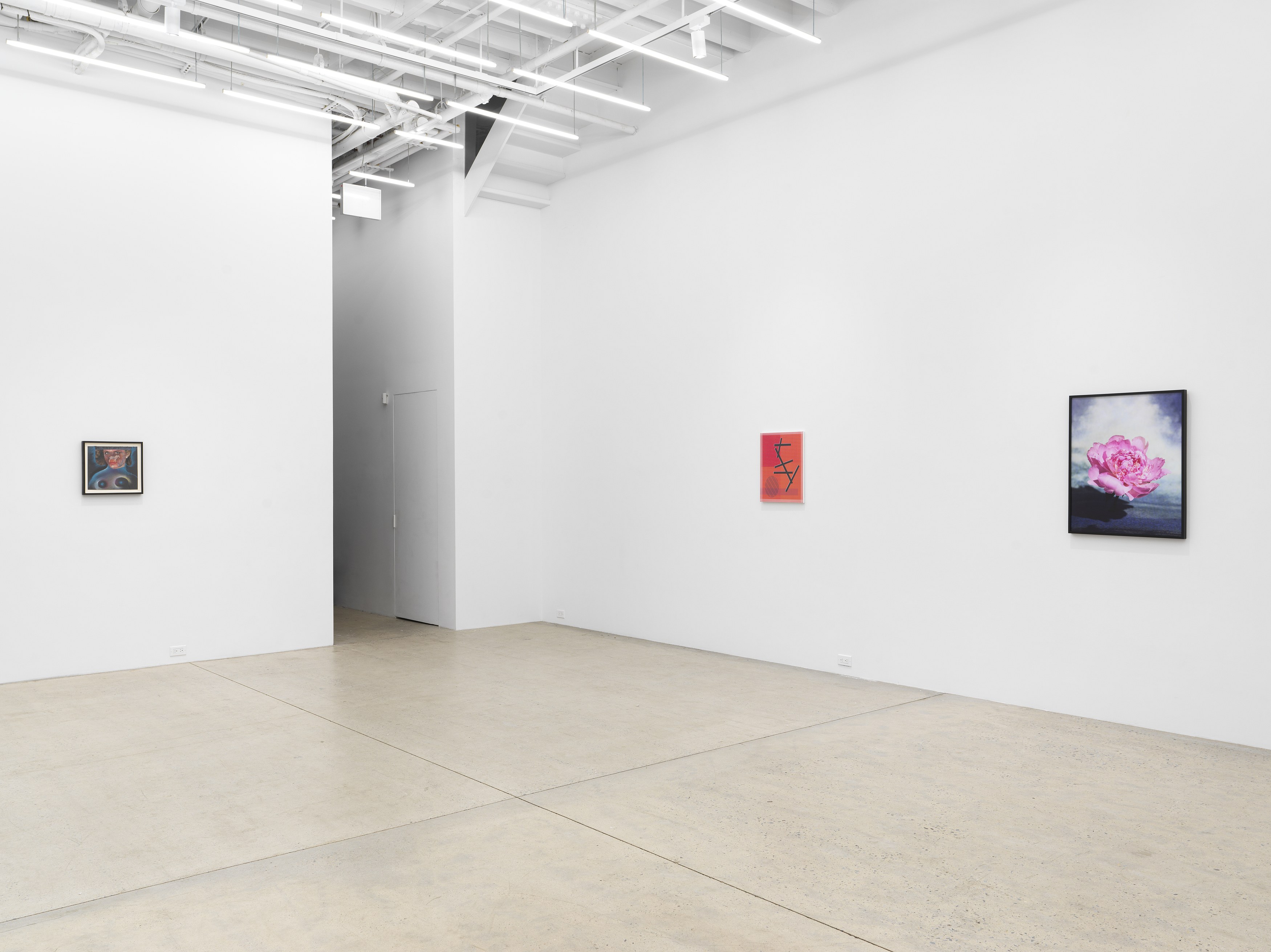 Hypervision, Hypervision at Magenta Plains, photo 5