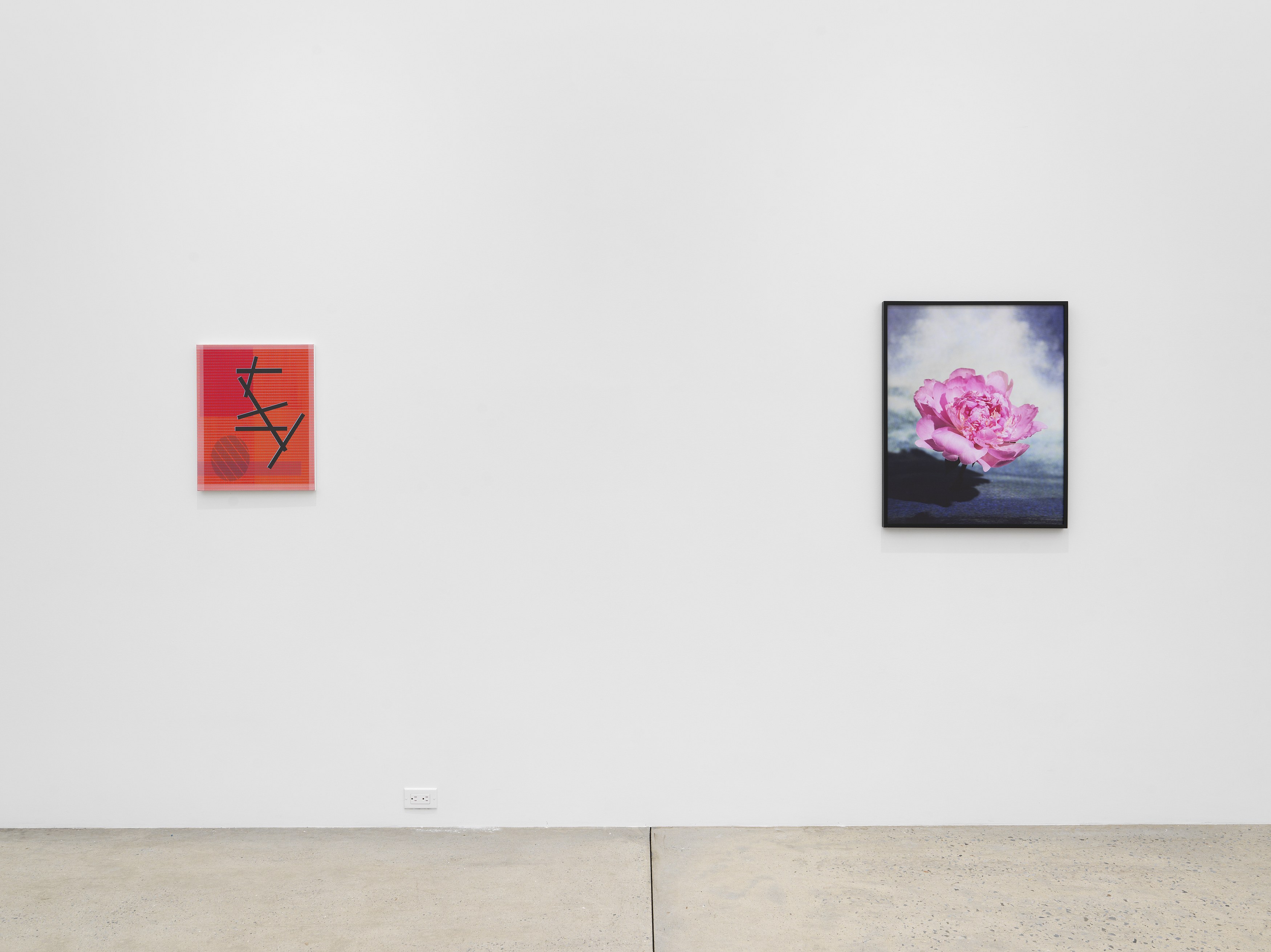 Hypervision, Hypervision at Magenta Plains, photo 4
