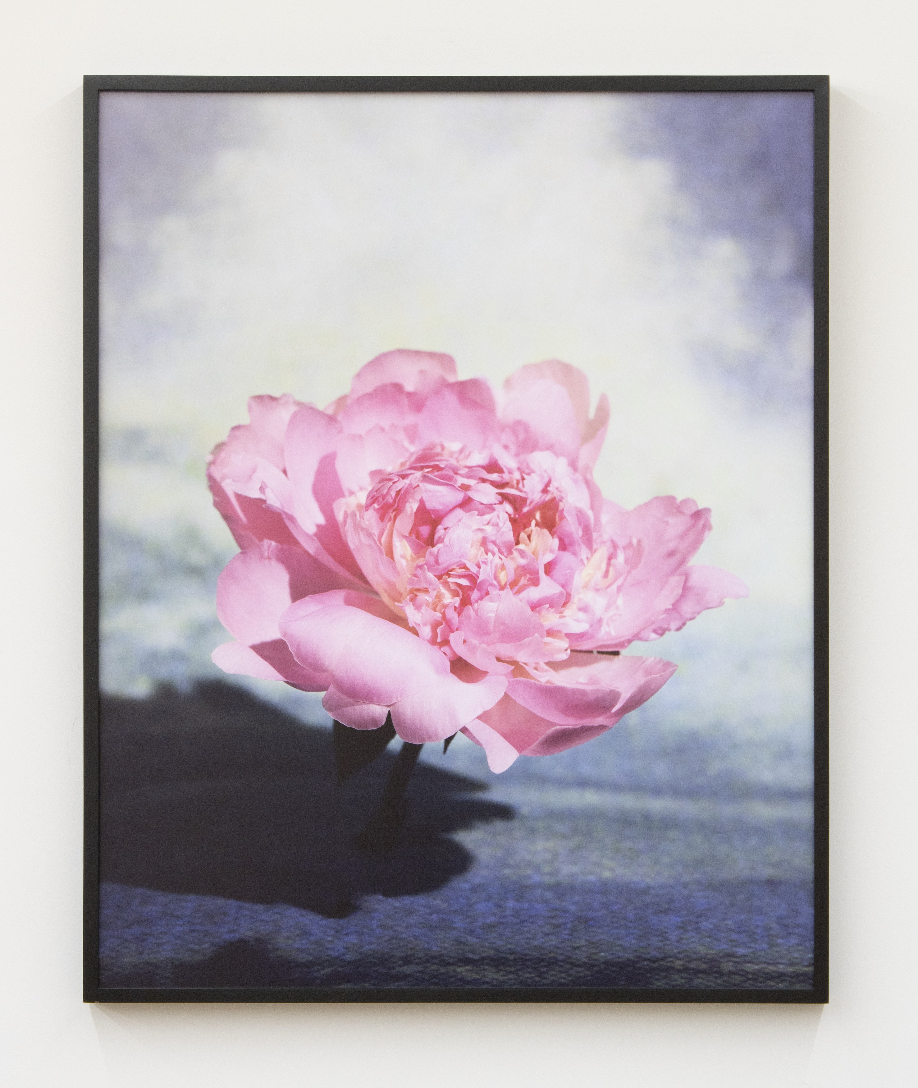 Hypervision, Hypervision at Magenta Plains, photo 12
