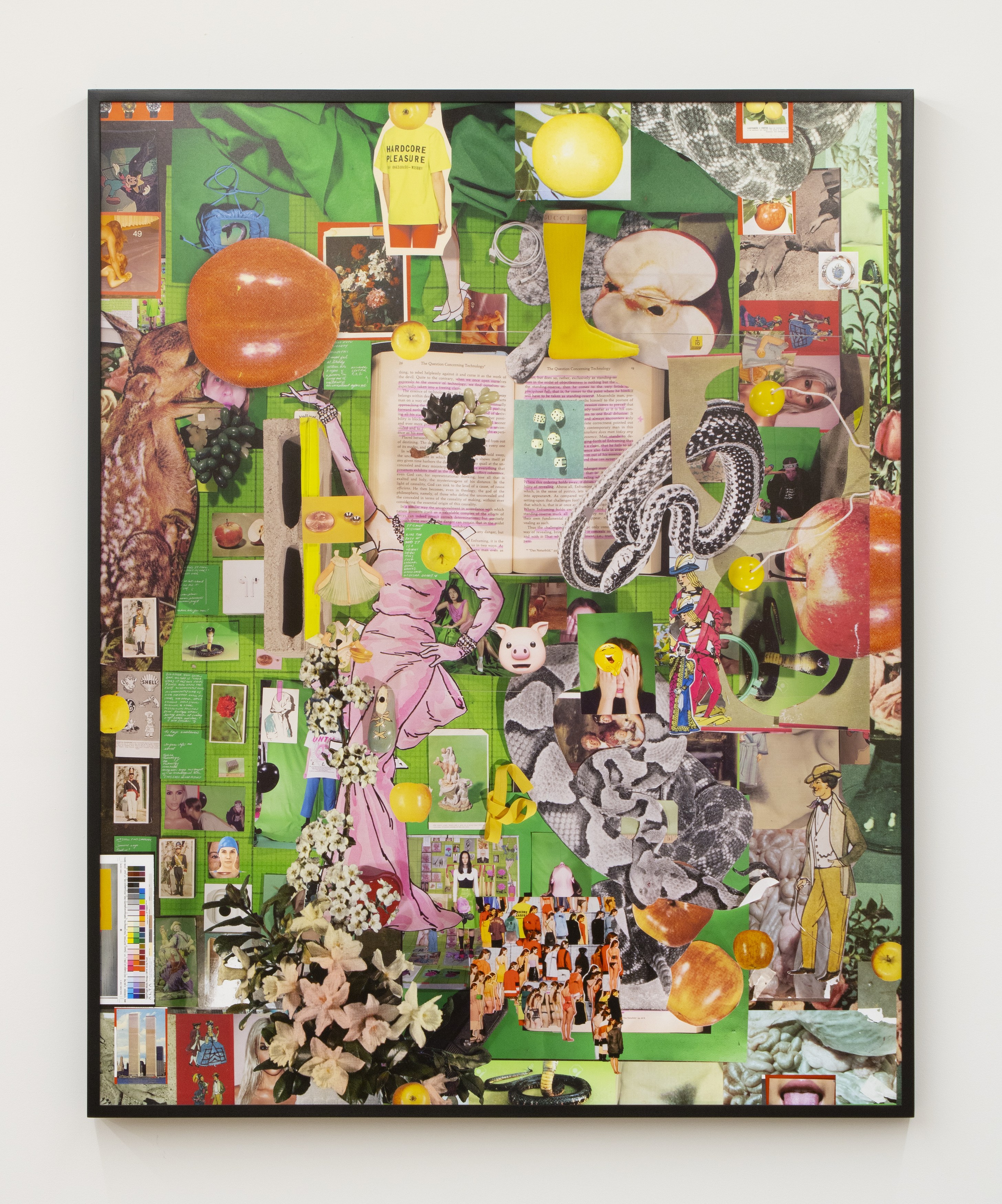 Hypervision, Hypervision at Magenta Plains, photo 13