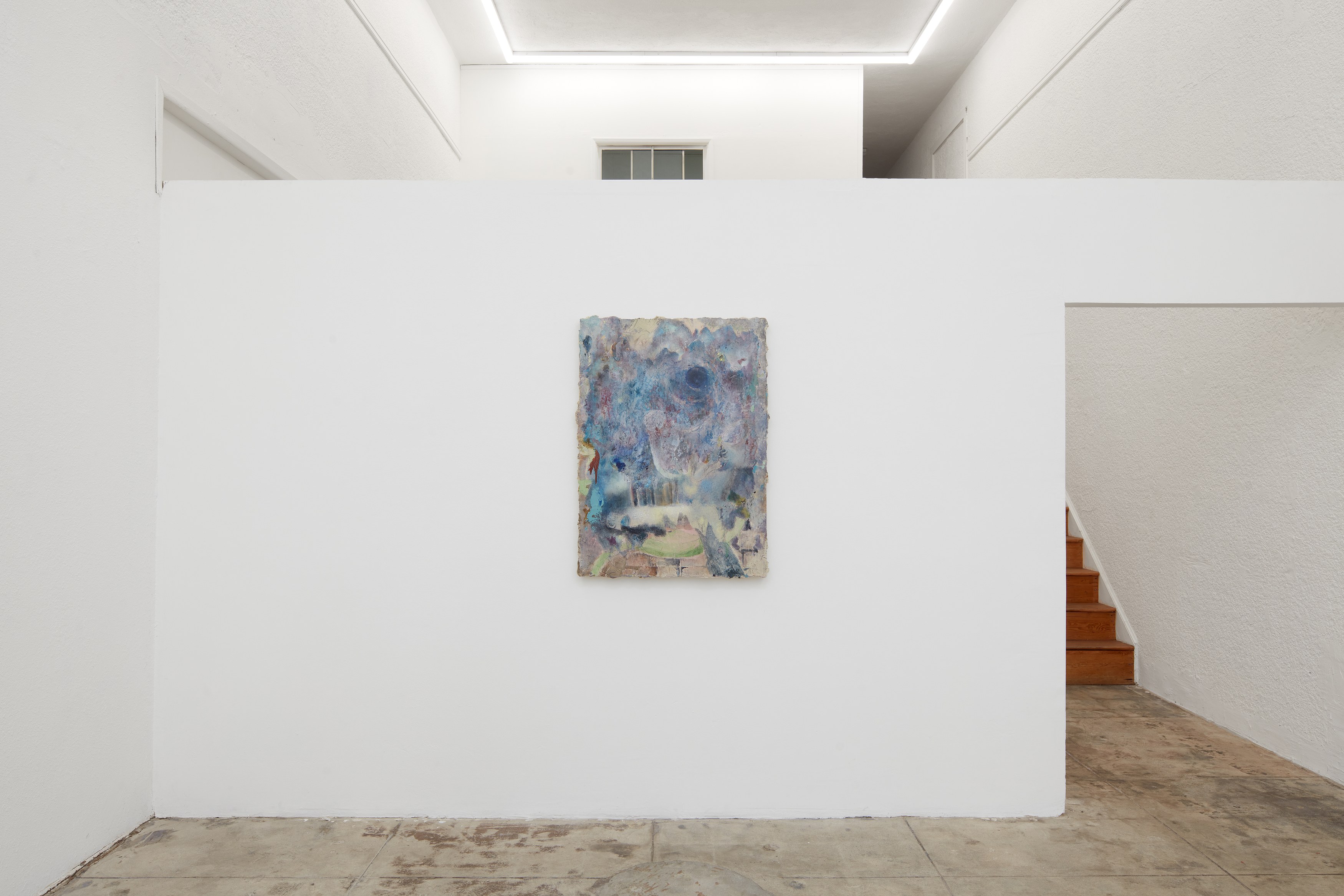 Emi Mizukami, Not Bird, Not Horse, Not Insect at Ehrlich Steinberg, photo 14