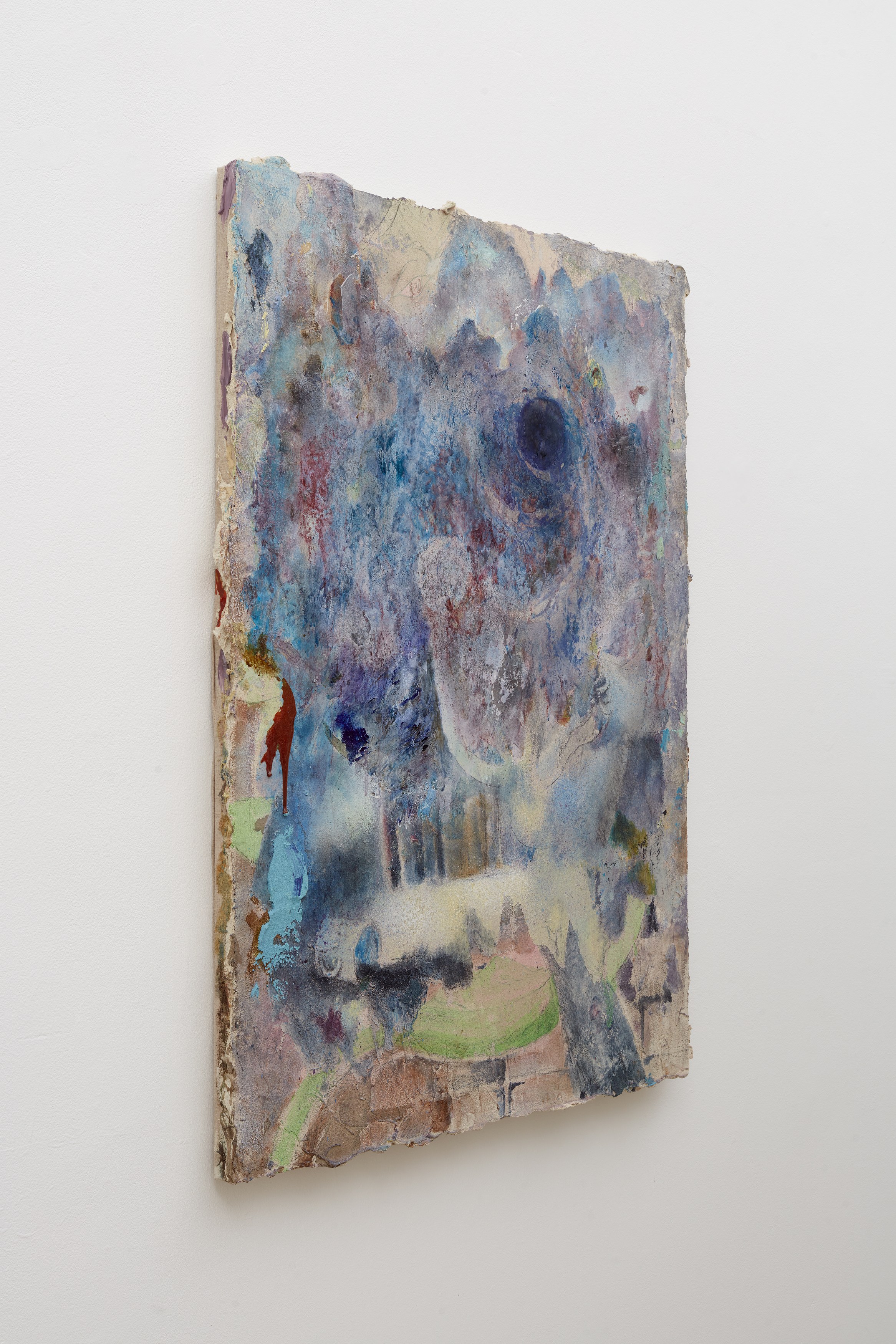 Emi Mizukami, Not Bird, Not Horse, Not Insect at Ehrlich Steinberg, photo 17