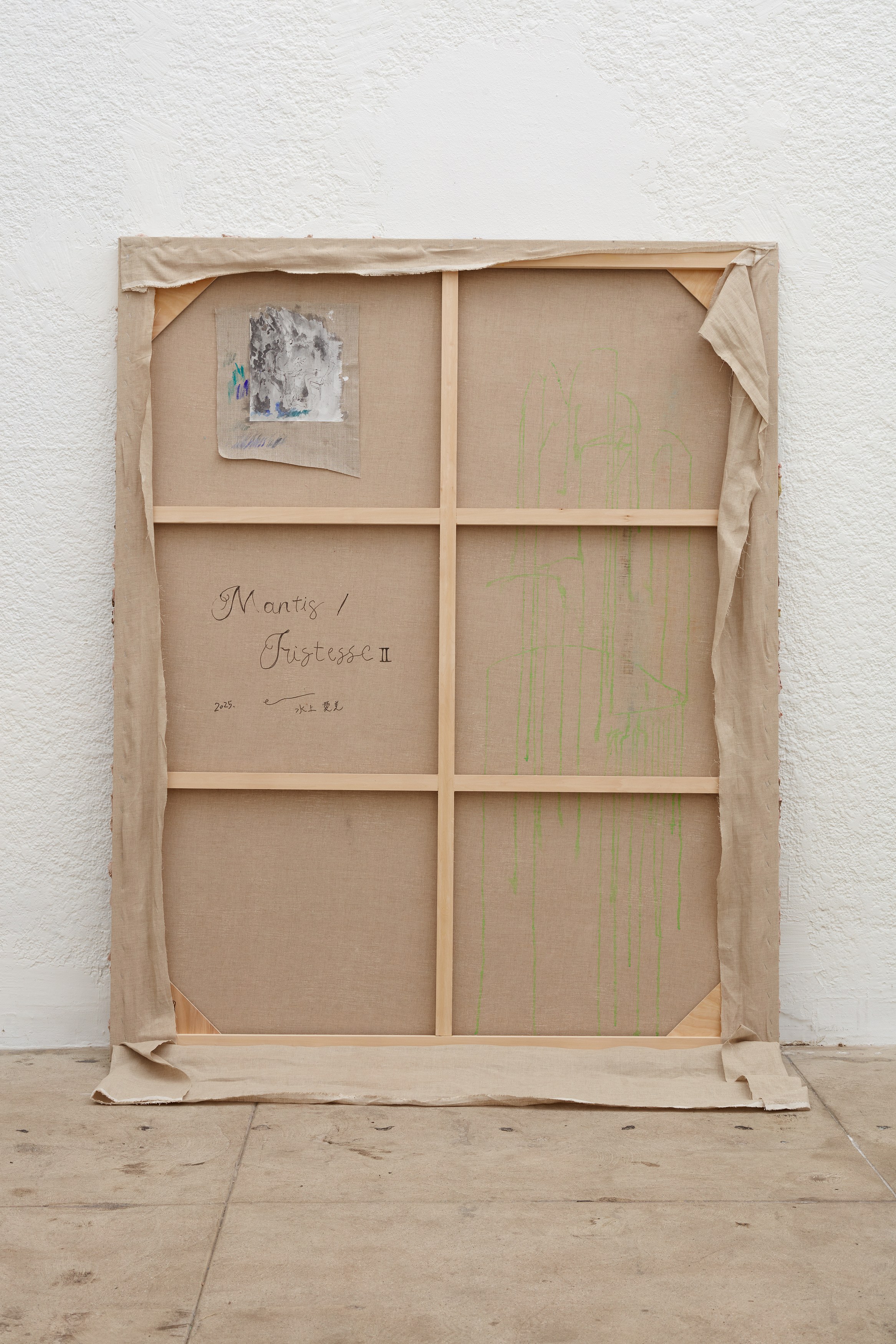 Emi Mizukami, Not Bird, Not Horse, Not Insect at Ehrlich Steinberg, photo 34