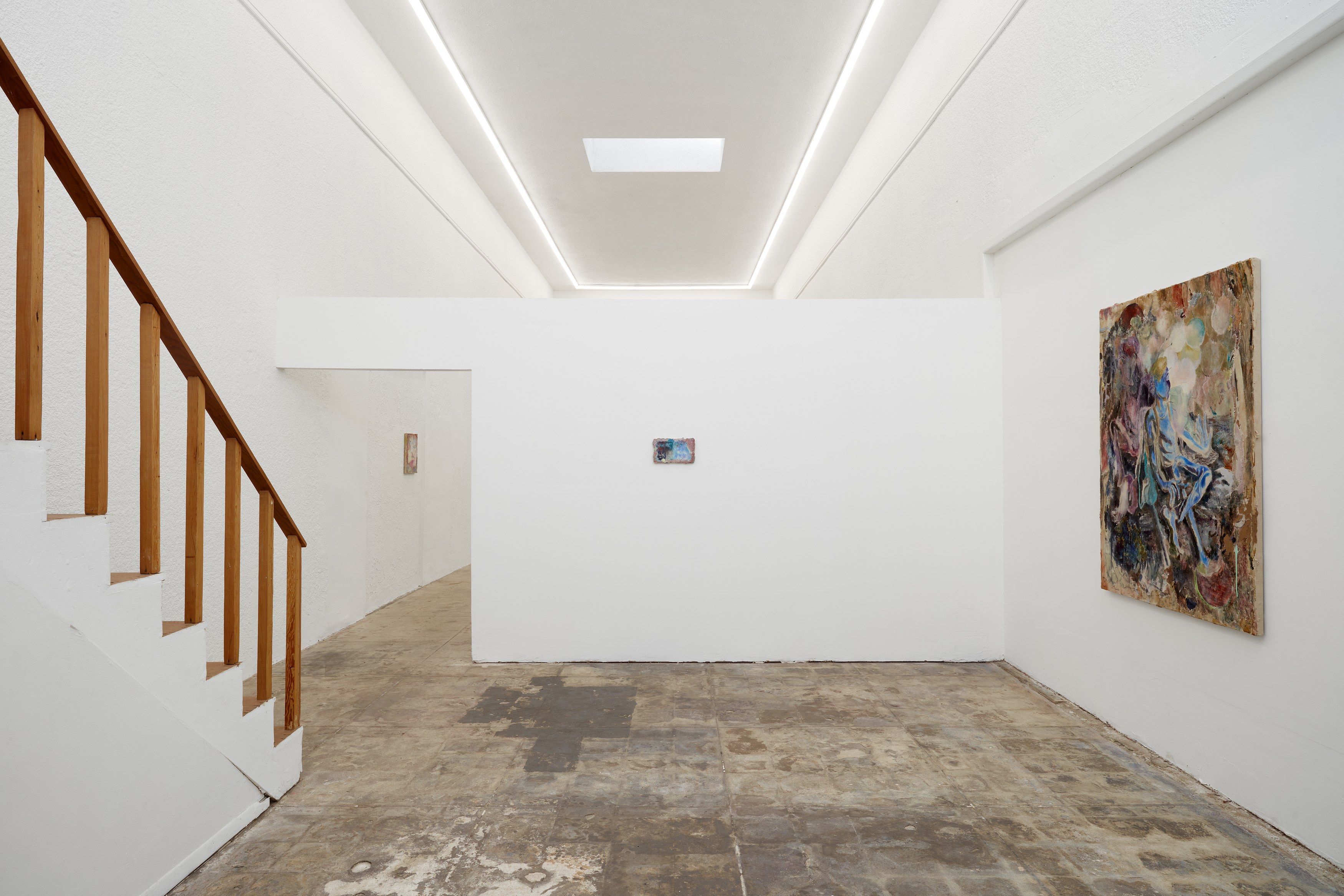 Emi Mizukami, Not Bird, Not Horse, Not Insect at Ehrlich Steinberg, photo 36