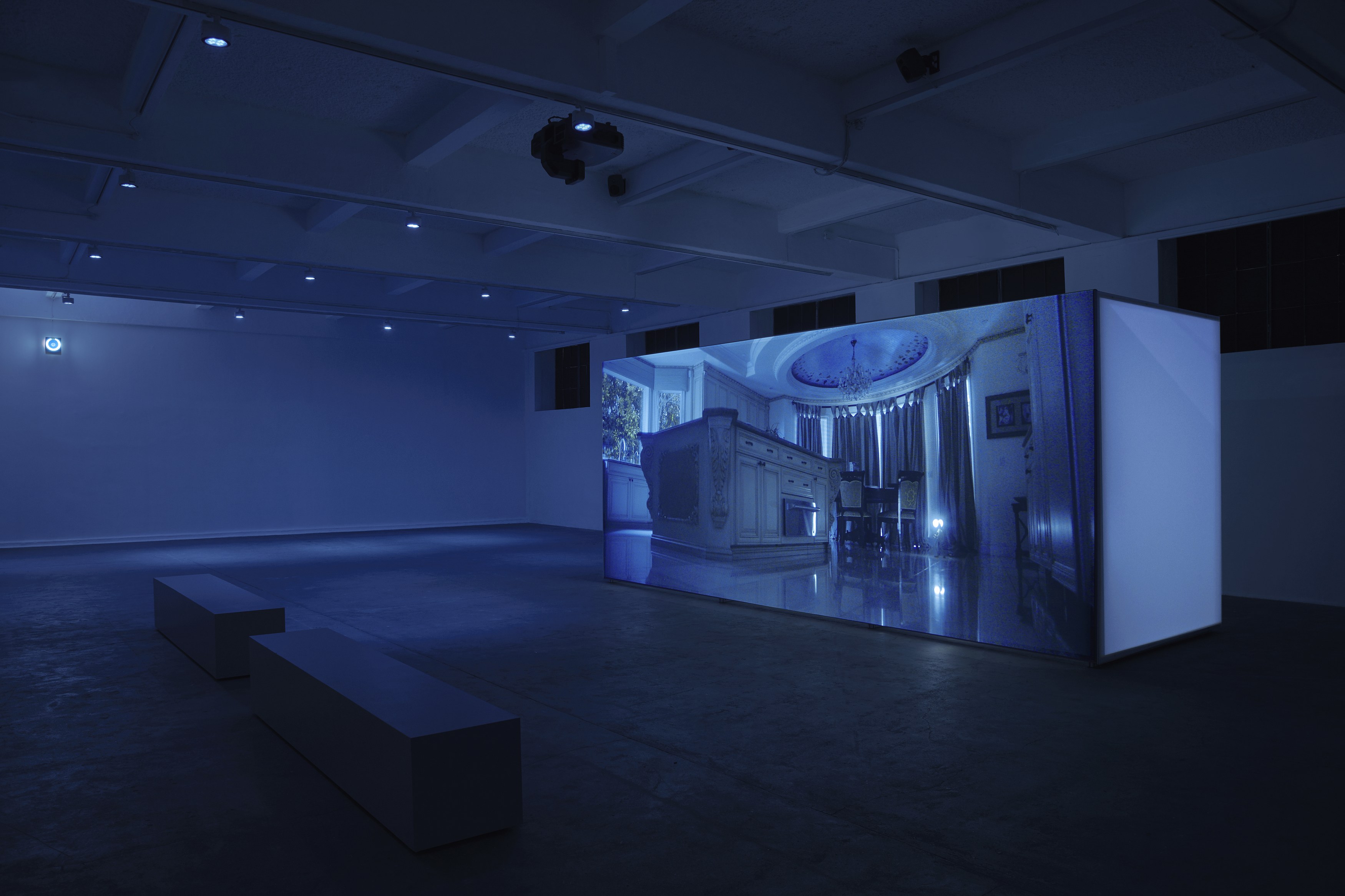 Arash Nassiri, A Bug’s Life at Chisenhale Gallery, photo 3