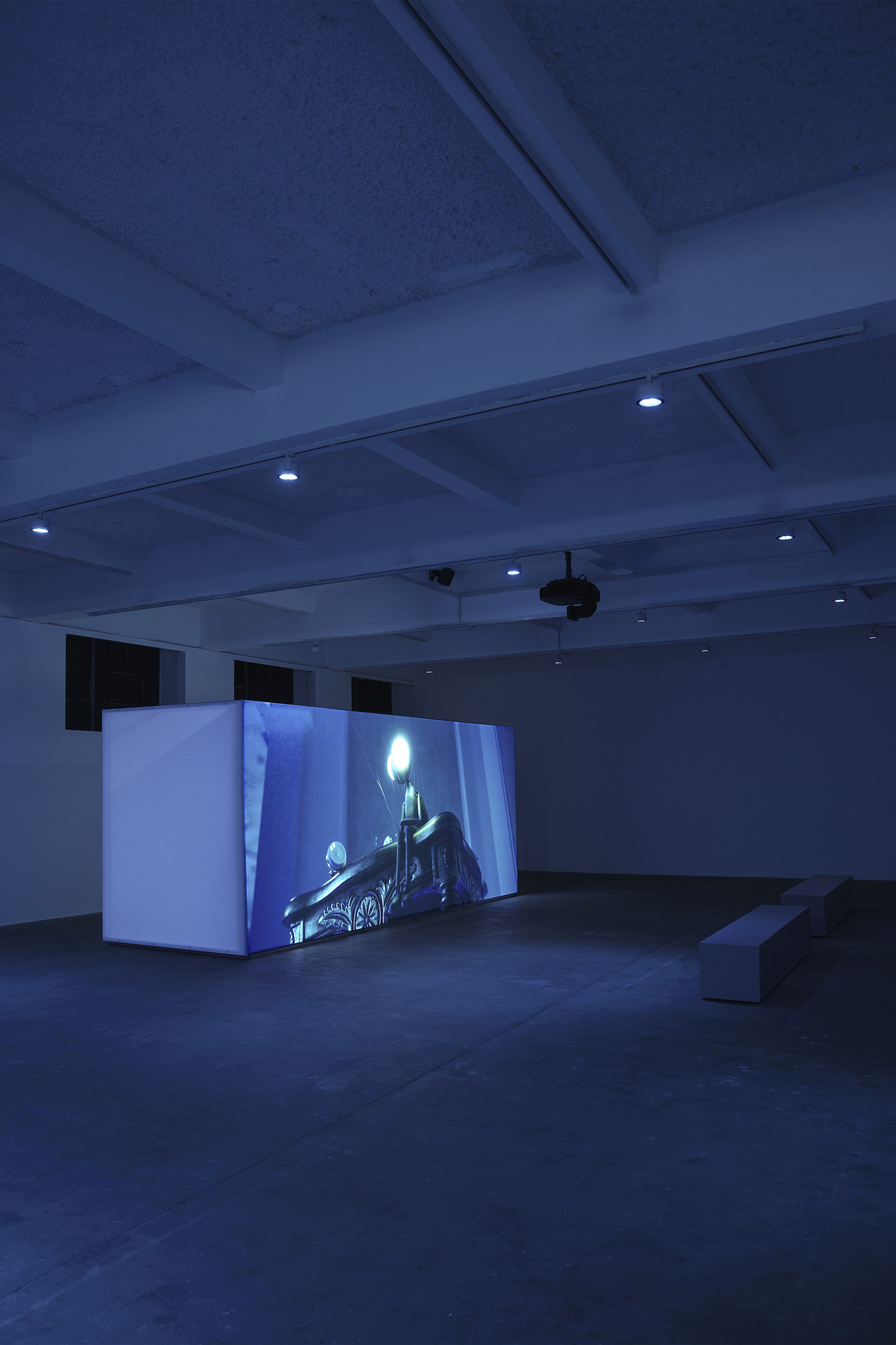 Arash Nassiri, A Bug’s Life at Chisenhale Gallery, photo 5