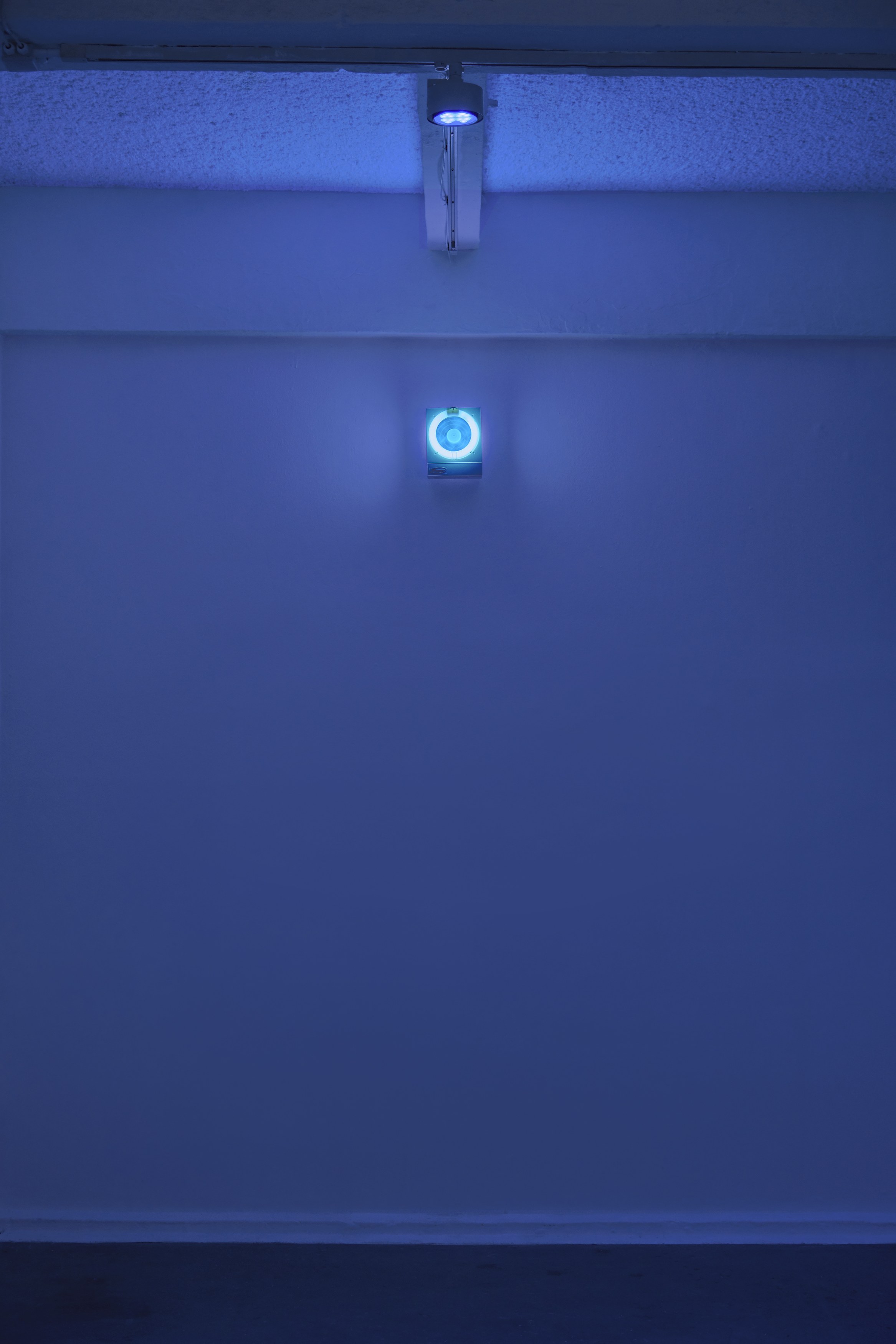 Arash Nassiri, A Bug’s Life at Chisenhale Gallery, photo 9