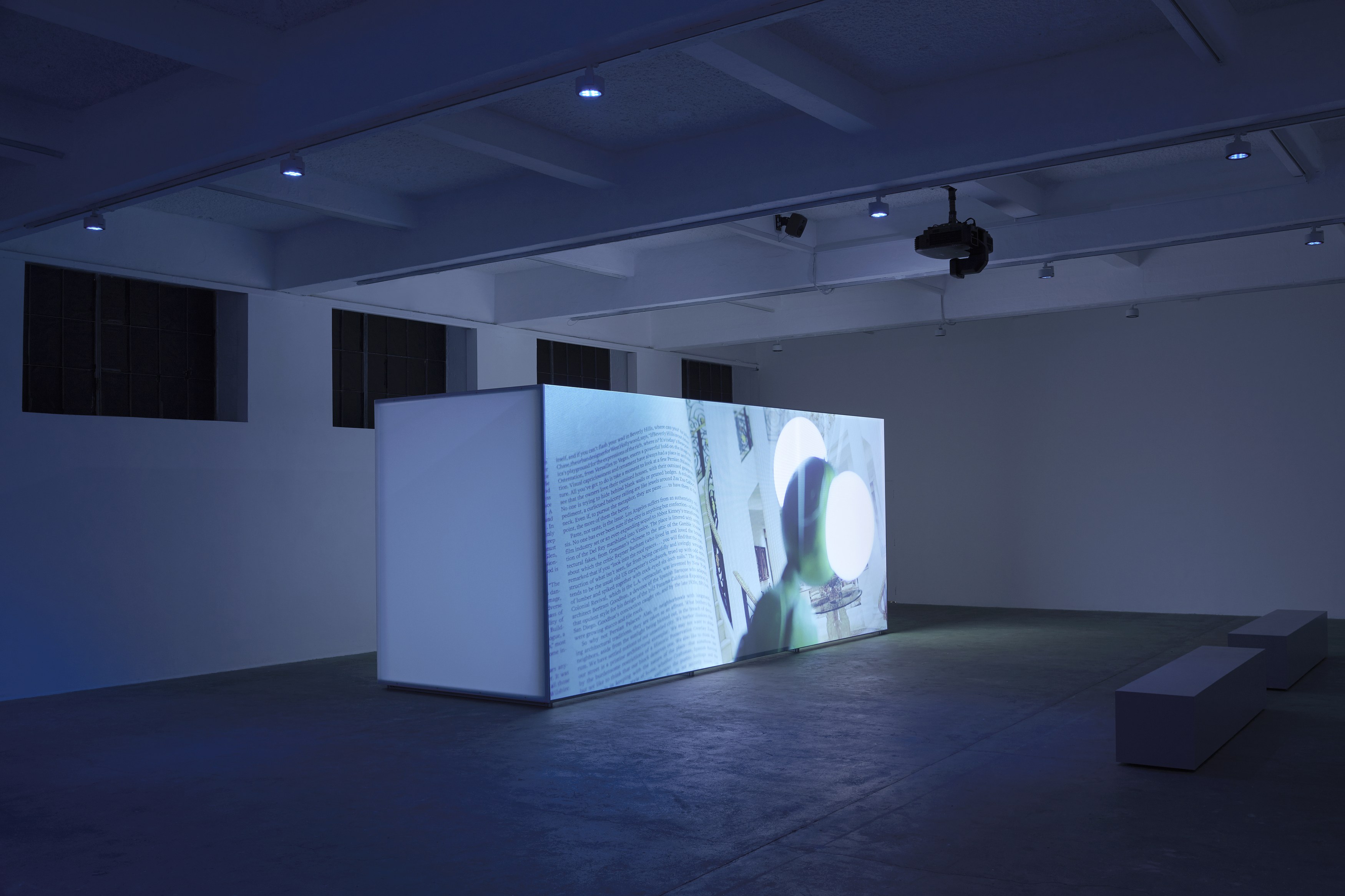 Arash Nassiri, A Bug’s Life at Chisenhale Gallery, photo 7