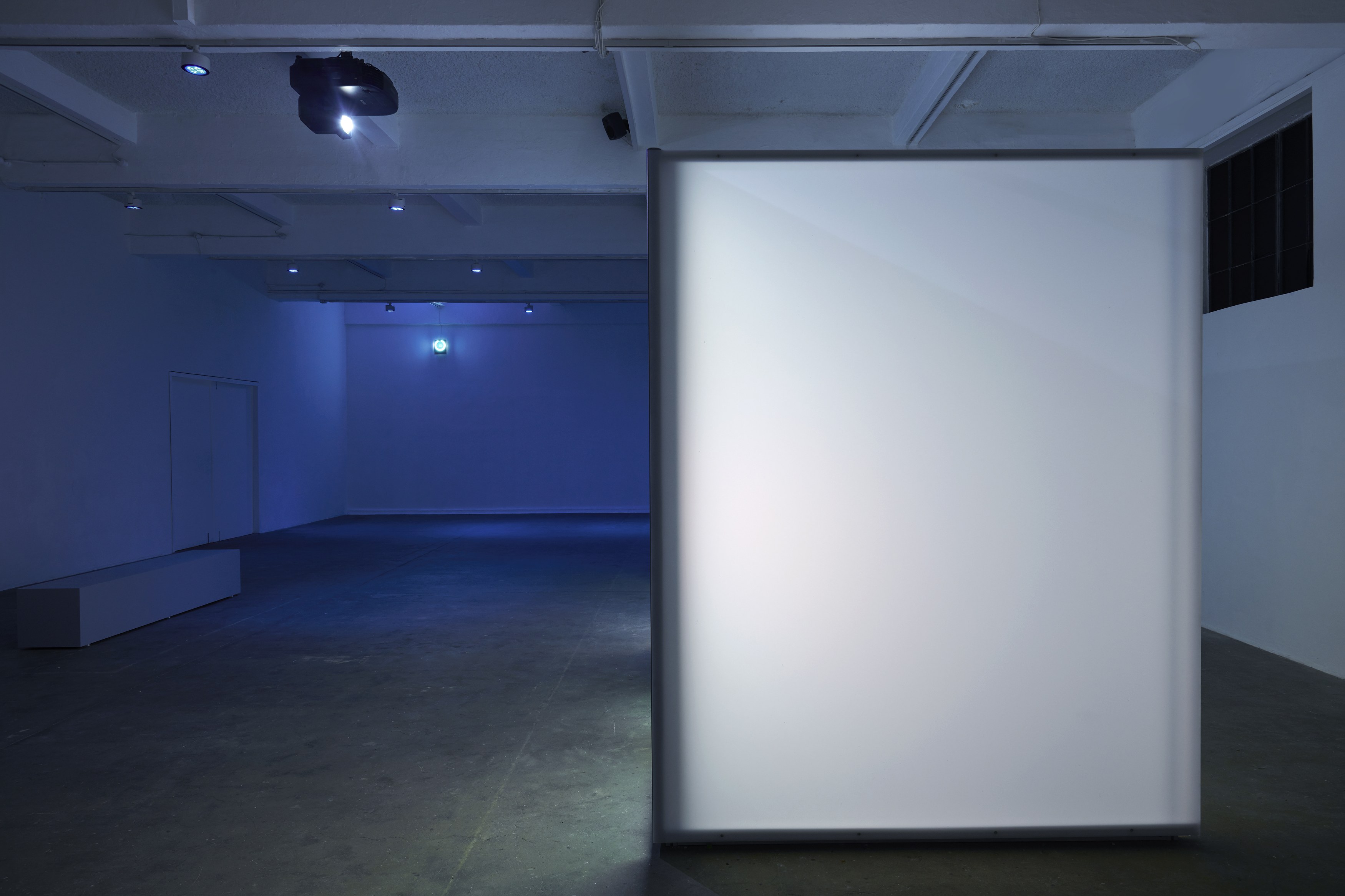 Arash Nassiri, A Bug’s Life at Chisenhale Gallery, photo 8