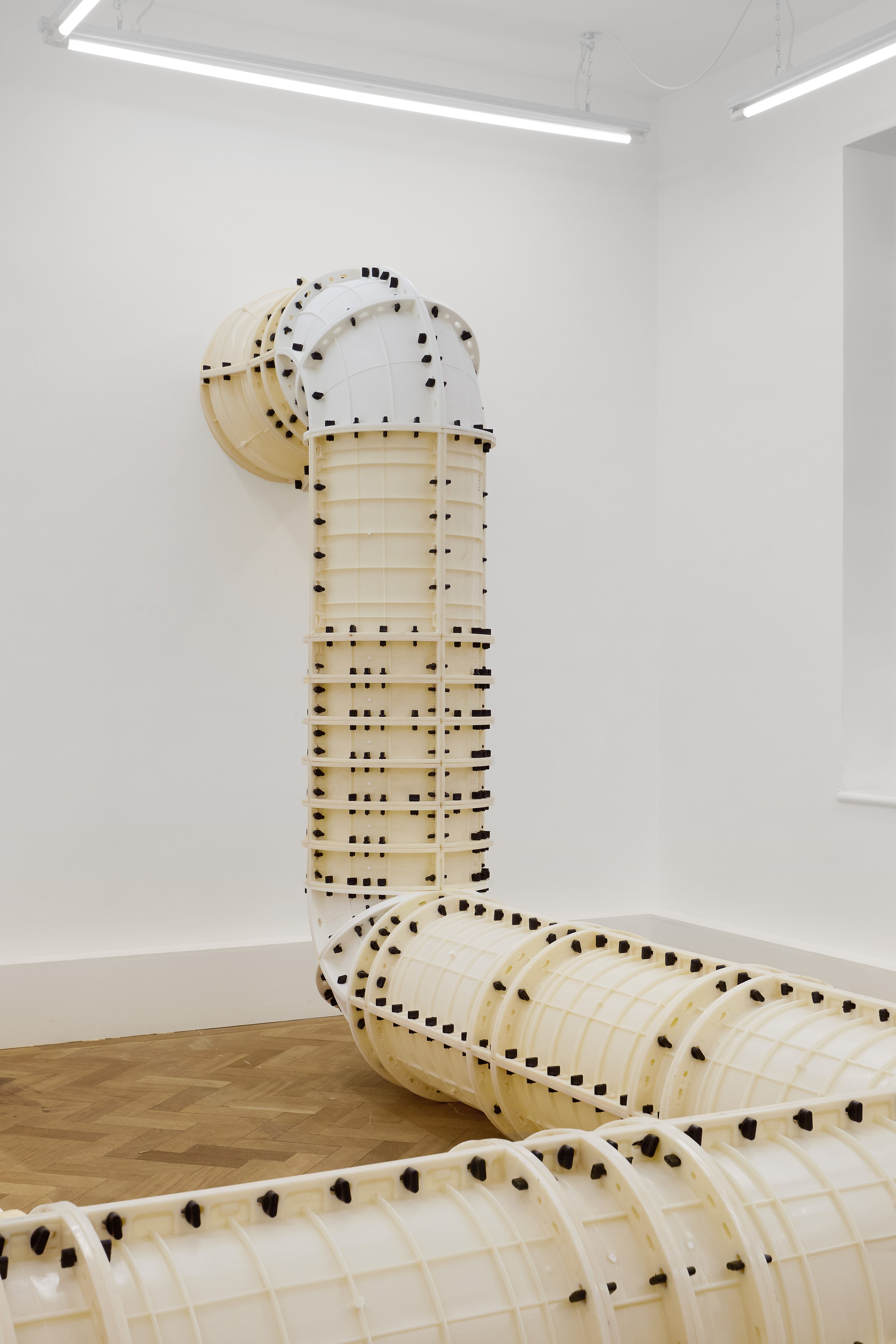 Jan Vorisek, Elbows at Arcadia Missa, photo 3