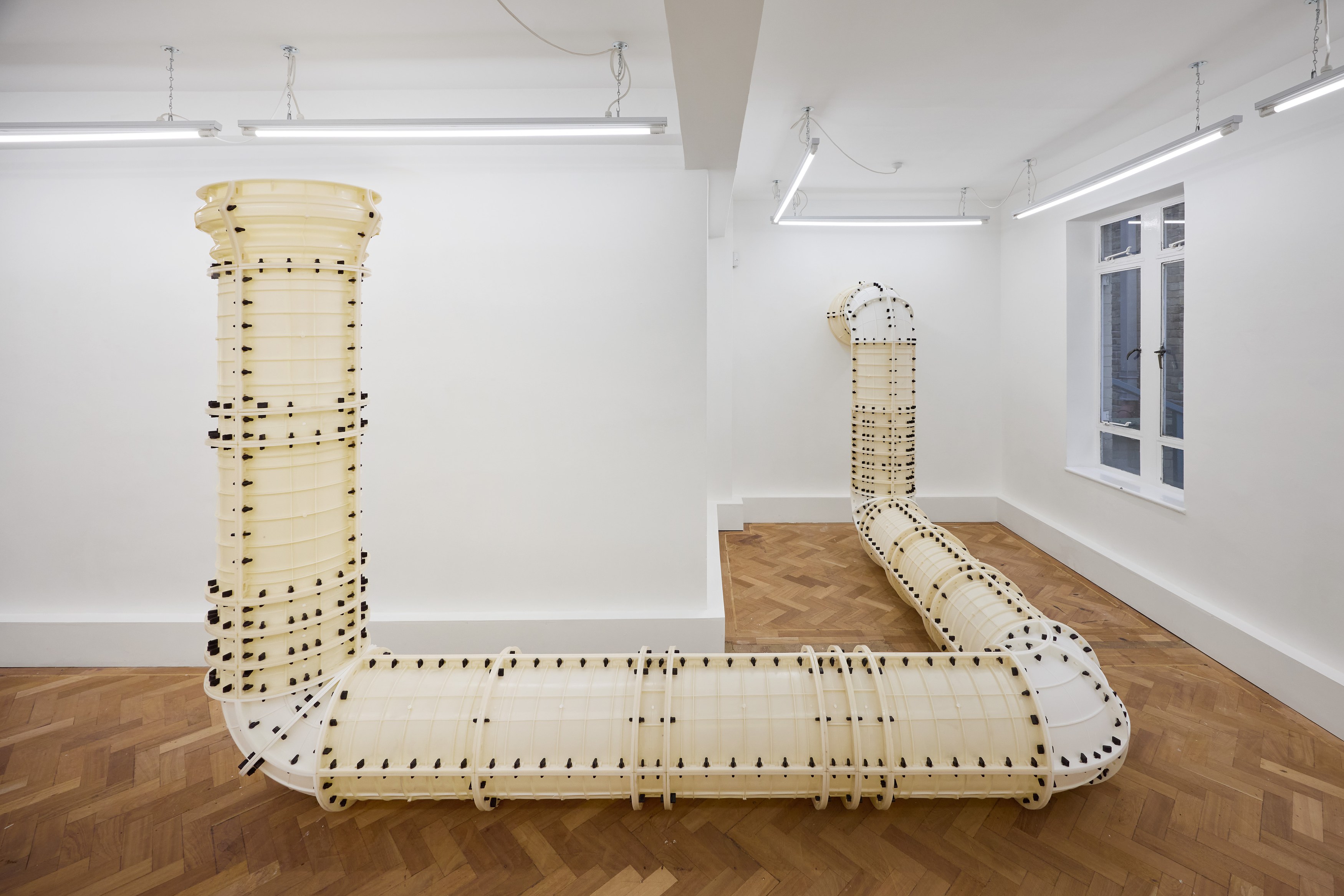 Jan Vorisek, Elbows at Arcadia Missa, photo 2