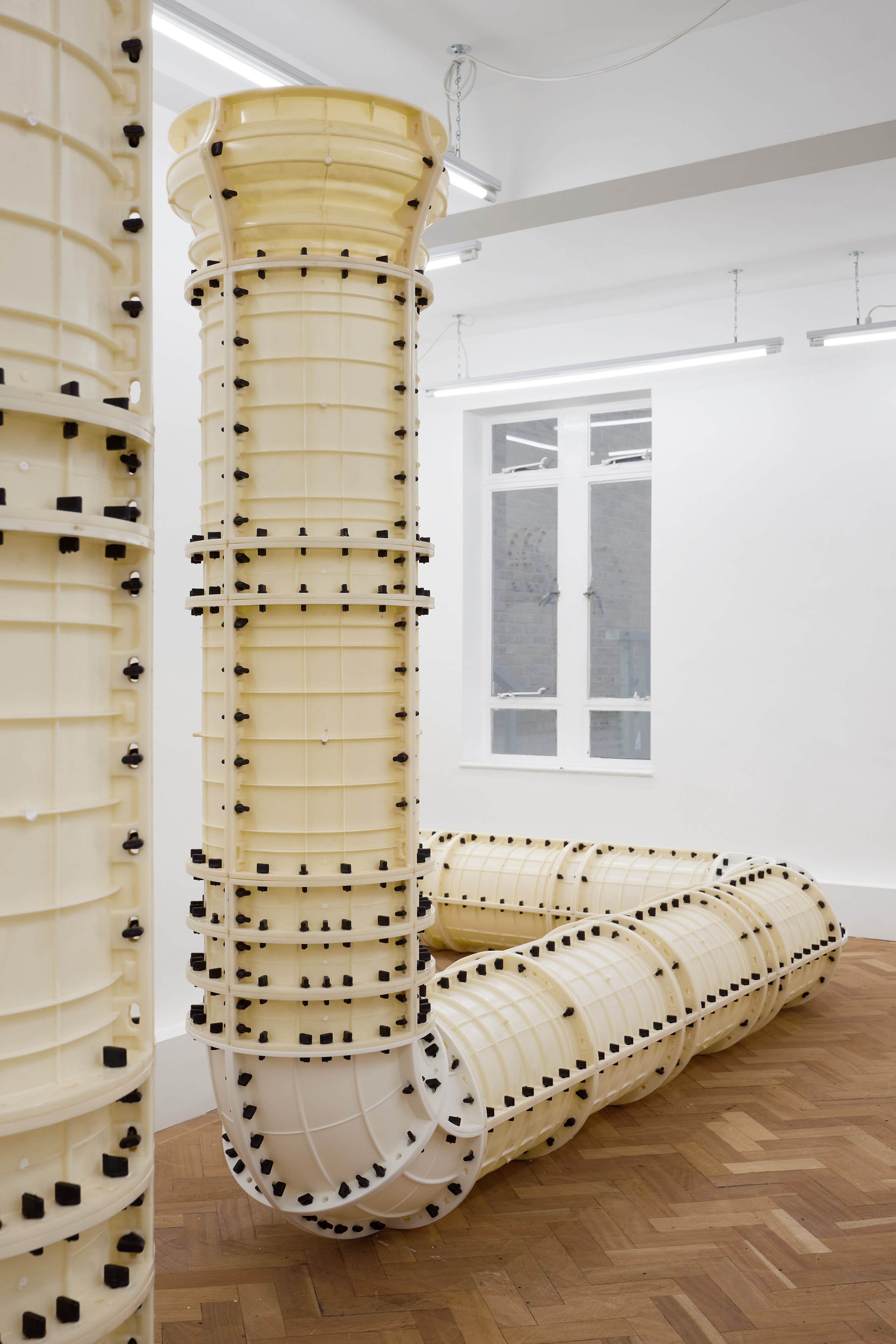 Jan Vorisek, Elbows at Arcadia Missa, photo 4