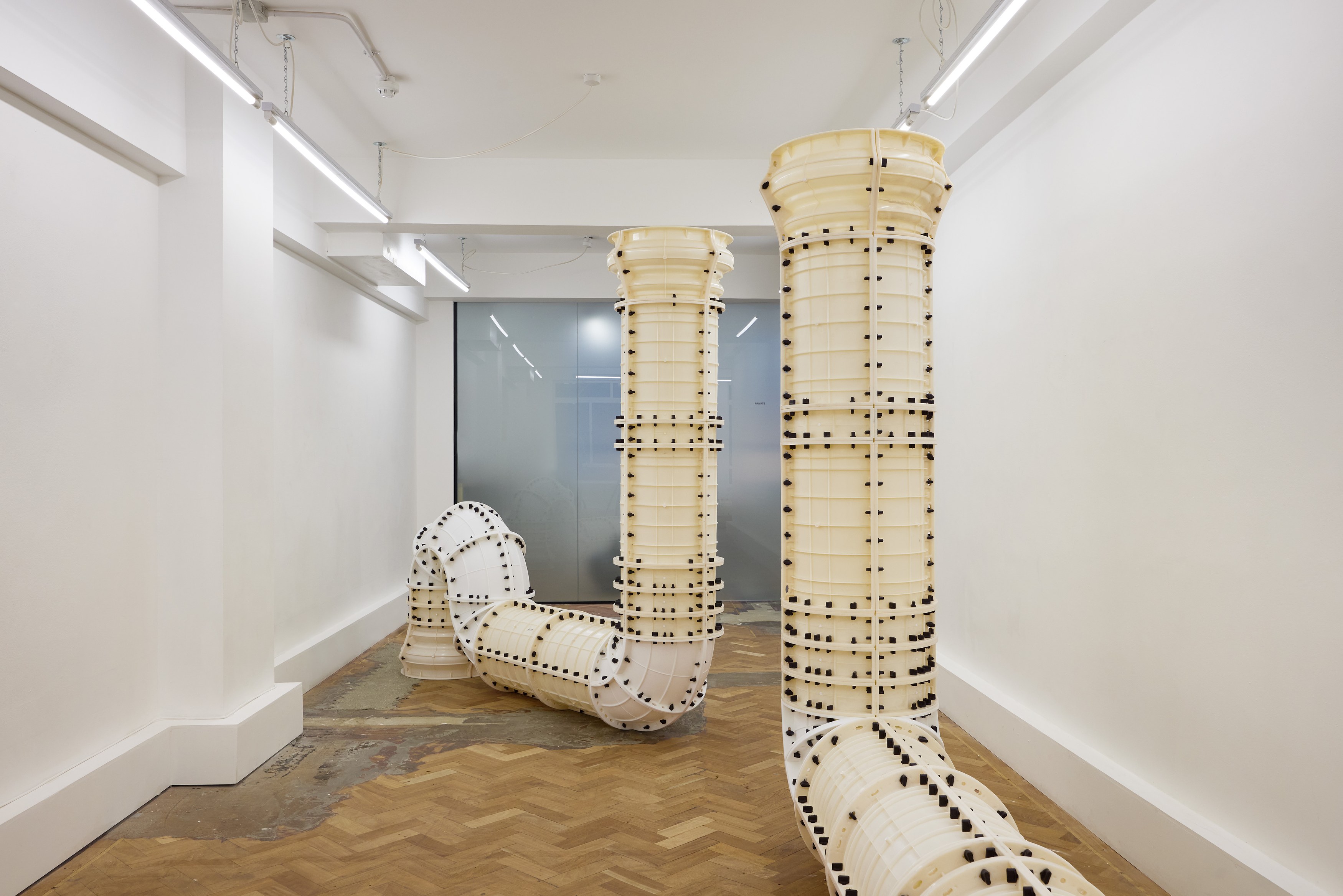 Jan Vorisek, Elbows at Arcadia Missa, photo 5