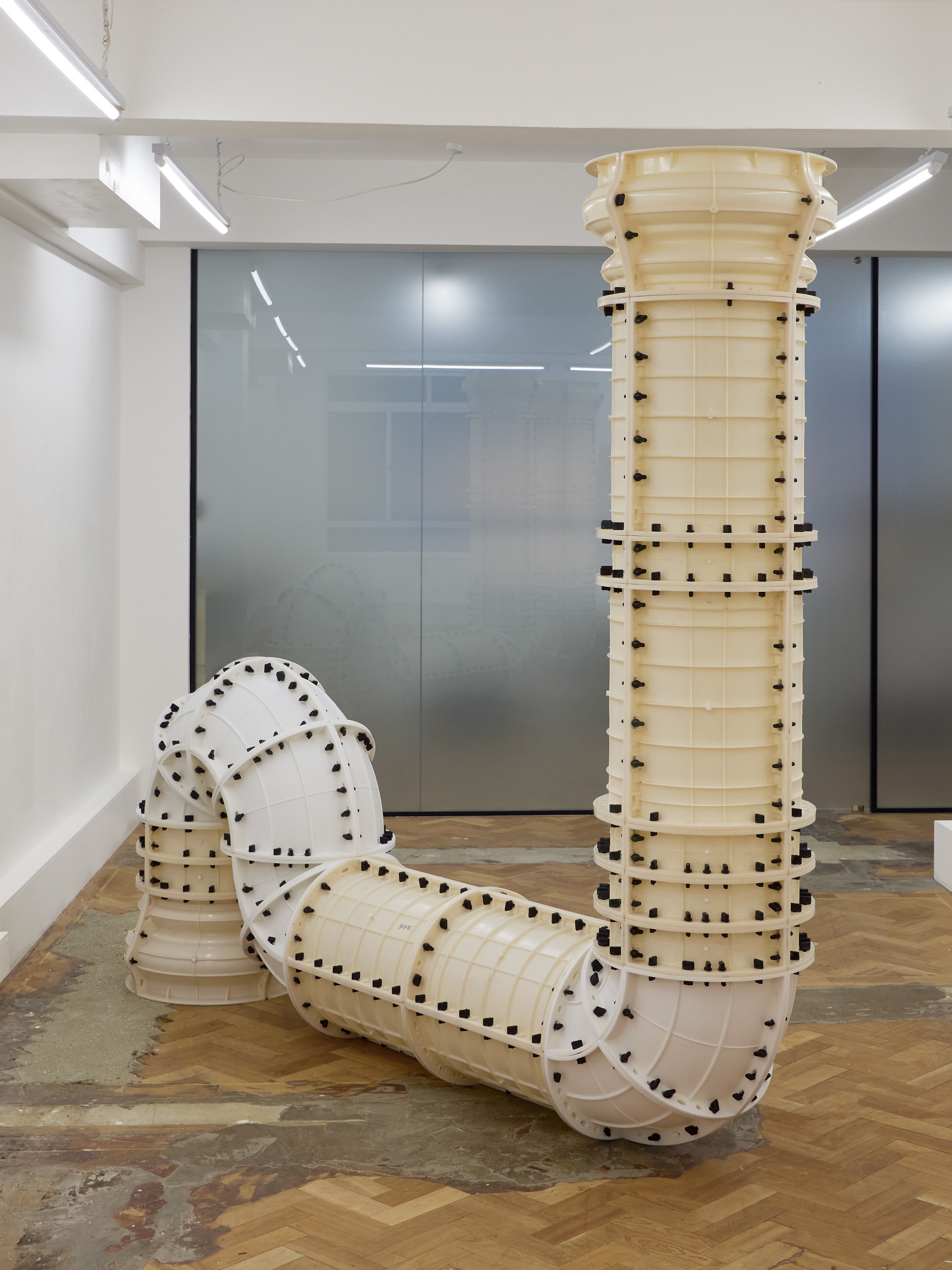 Jan Vorisek, Elbows at Arcadia Missa, photo 6