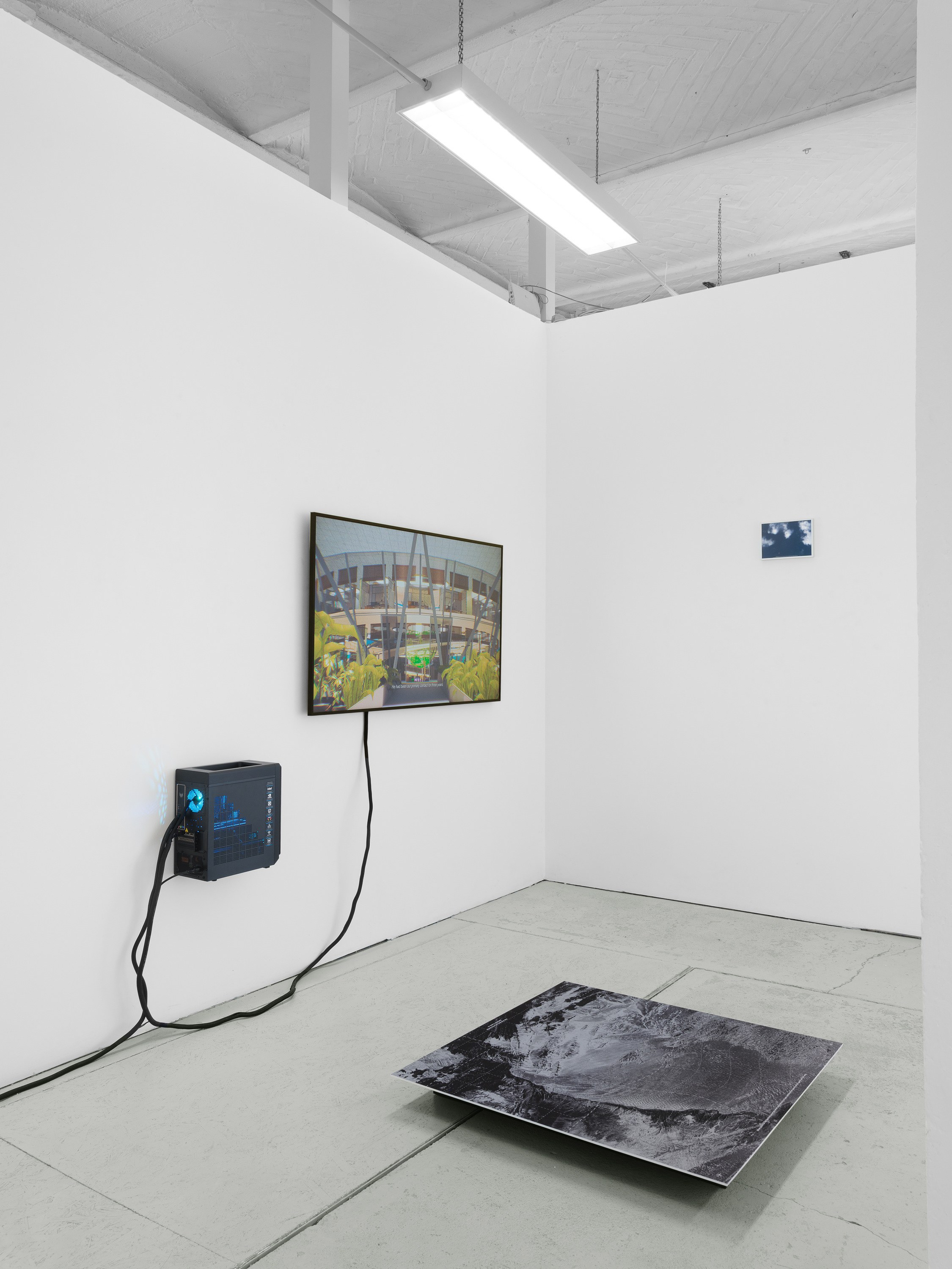 Cezar Mocan, image 18 of 18