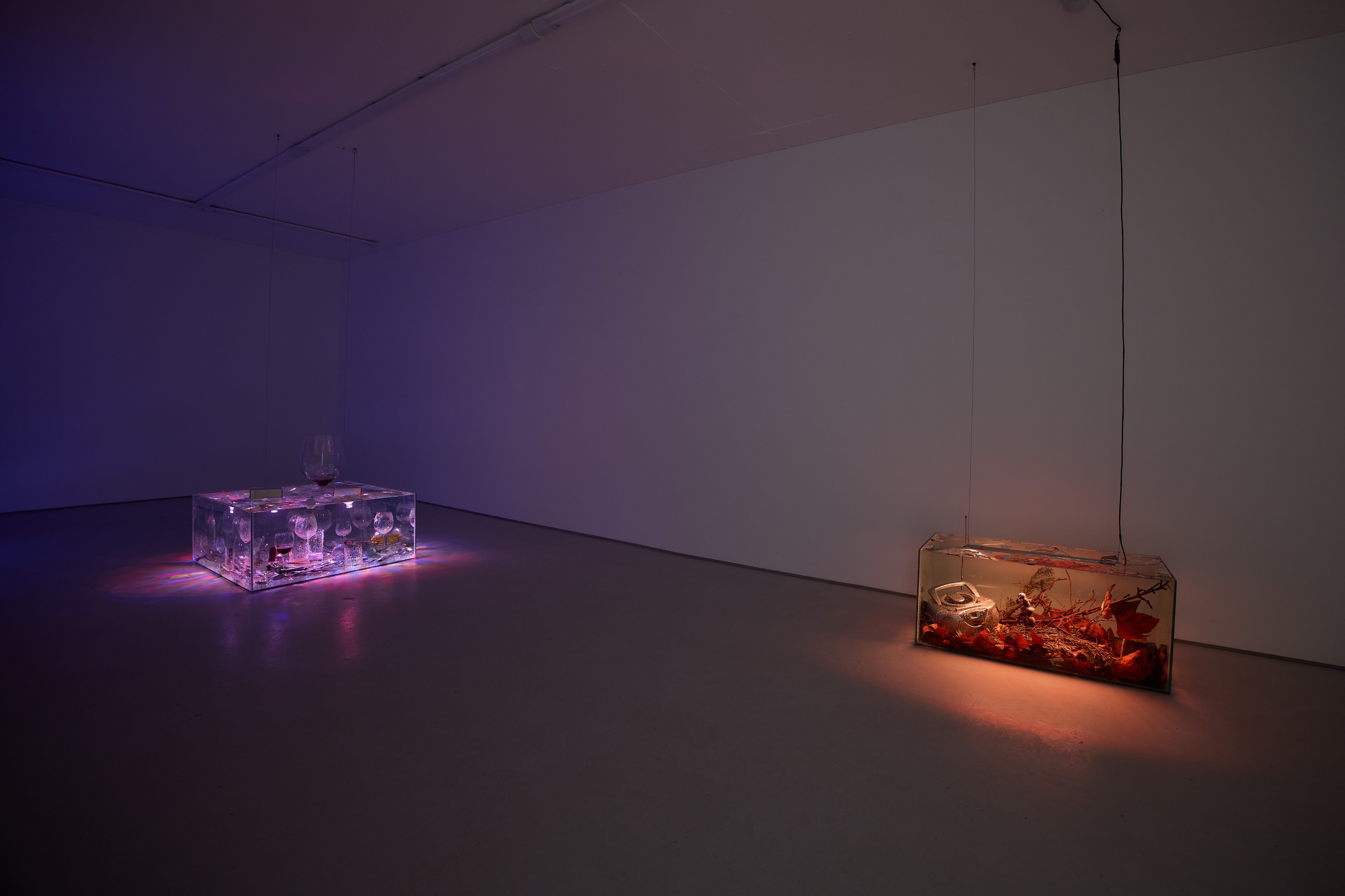 Massimiliano Gottardi, Zero at Alice Amati, photo 5