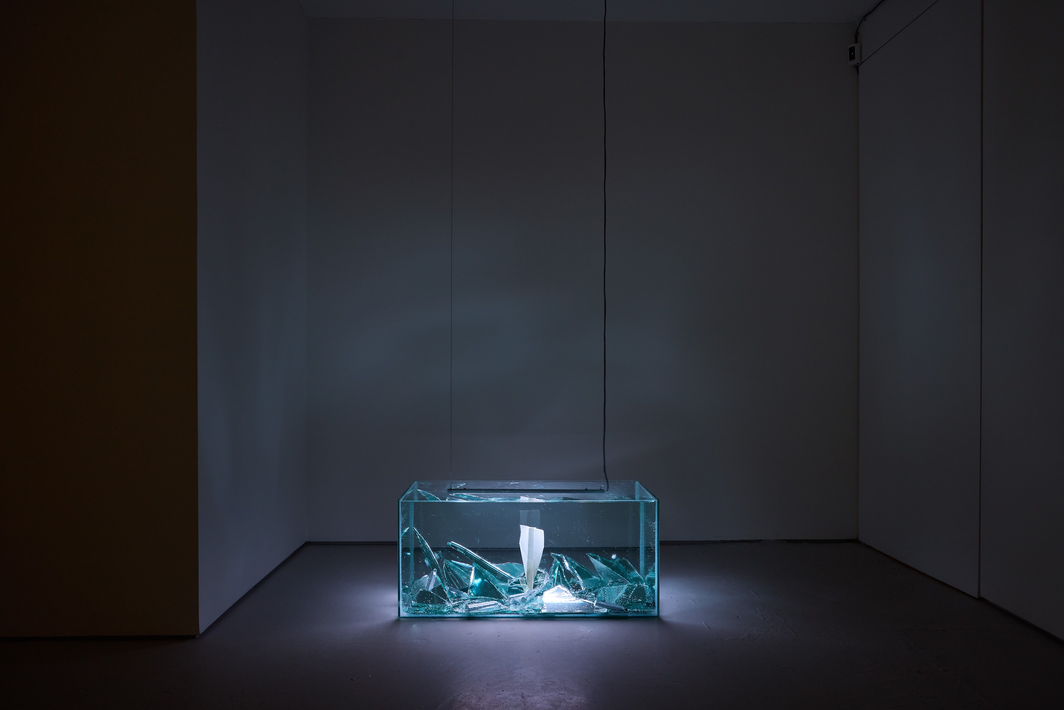 Massimiliano Gottardi, Zero at Alice Amati, photo 6