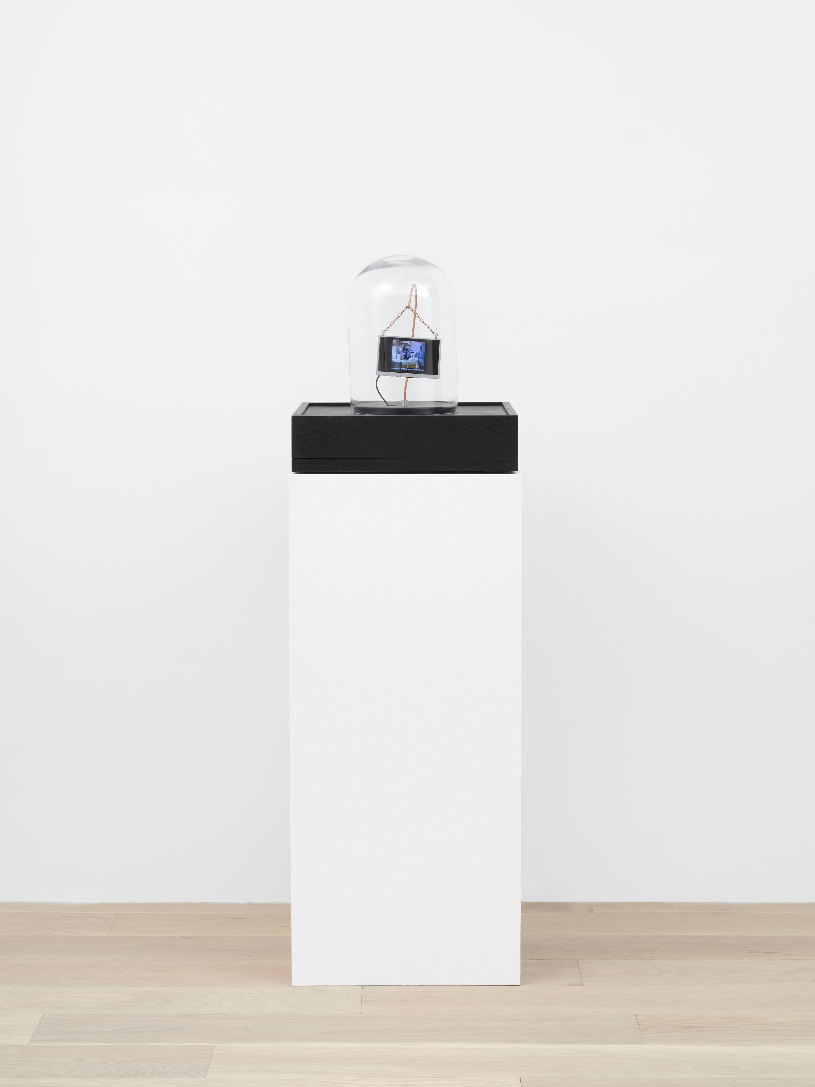 Lynn Hershman Leeson, image 23 of 60