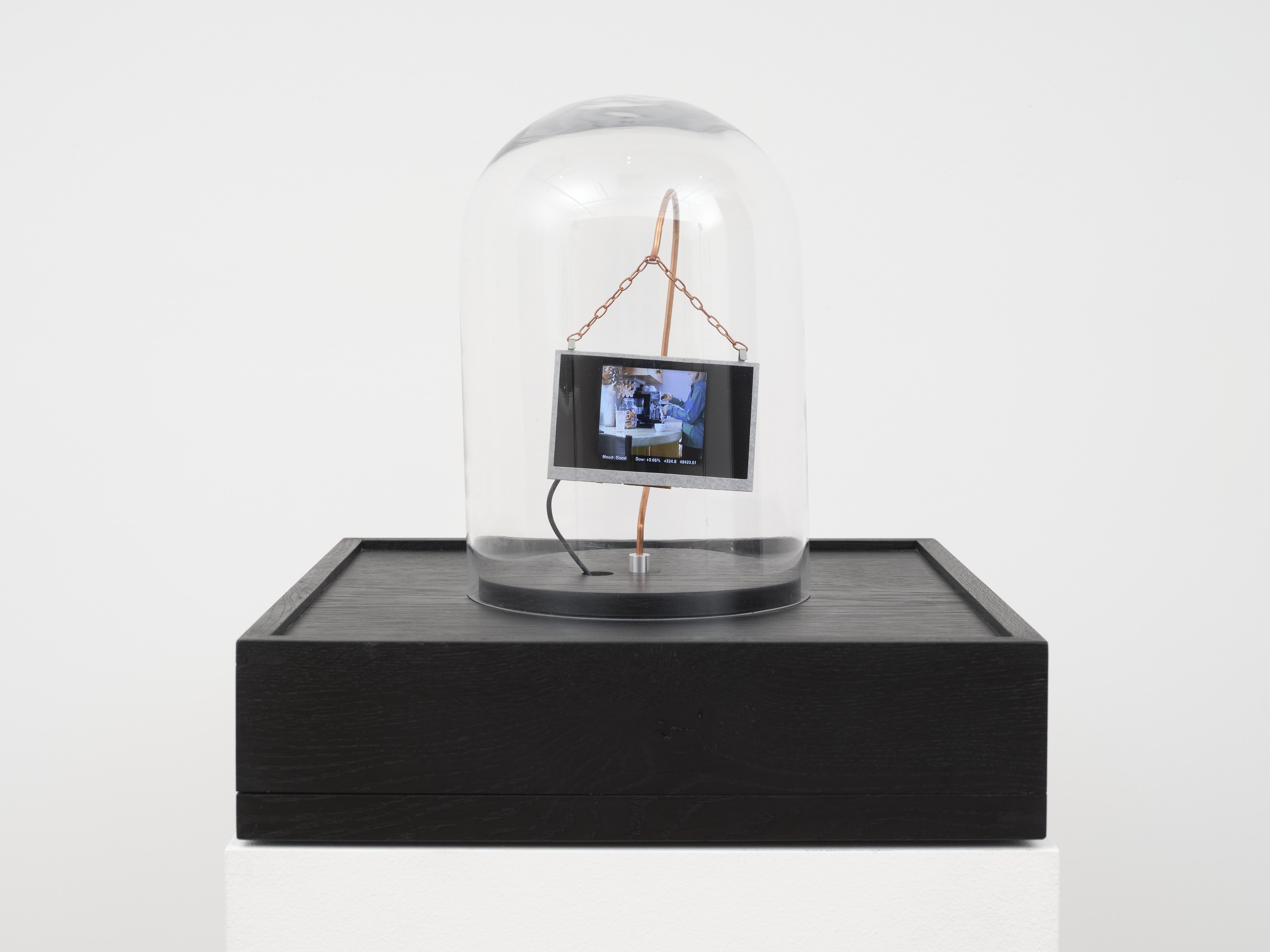 Lynn Hershman Leeson, image 24 of 60