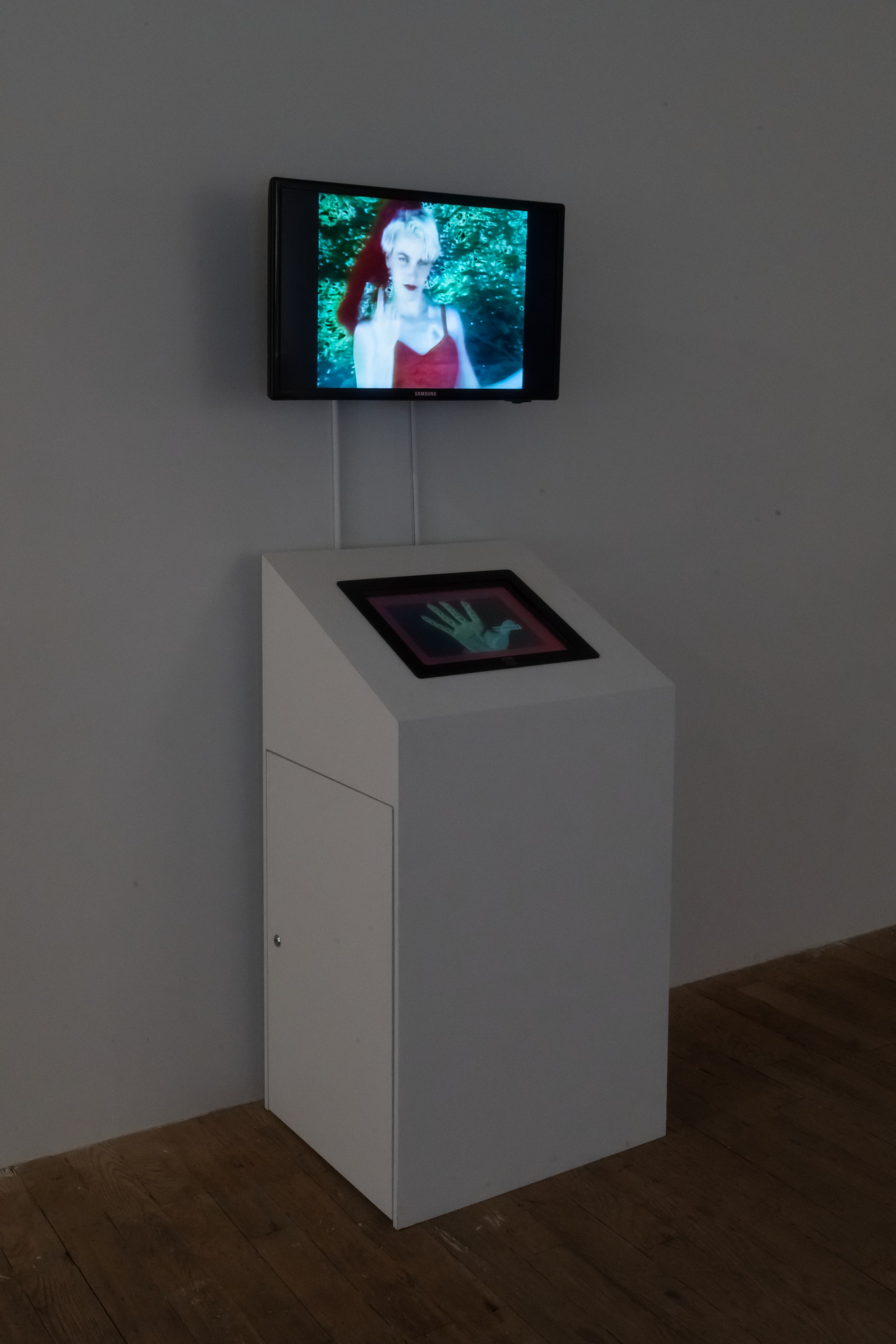 Lynn Hershman Leeson, image 30 of 60
