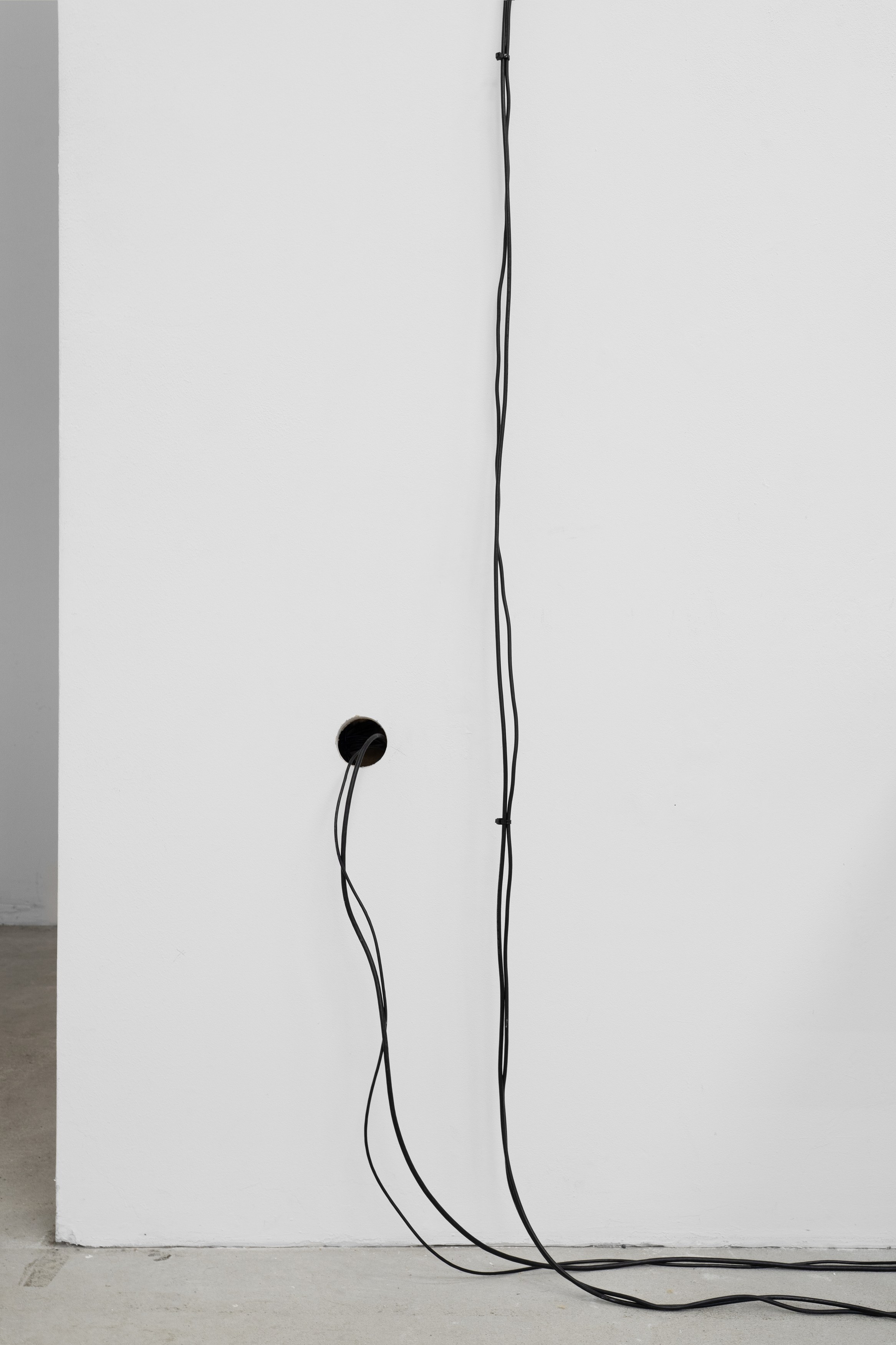 Mary Helena Clark, Laurent Dupont, Alexandre Khondji, Volume at Sweetwater, photo 9