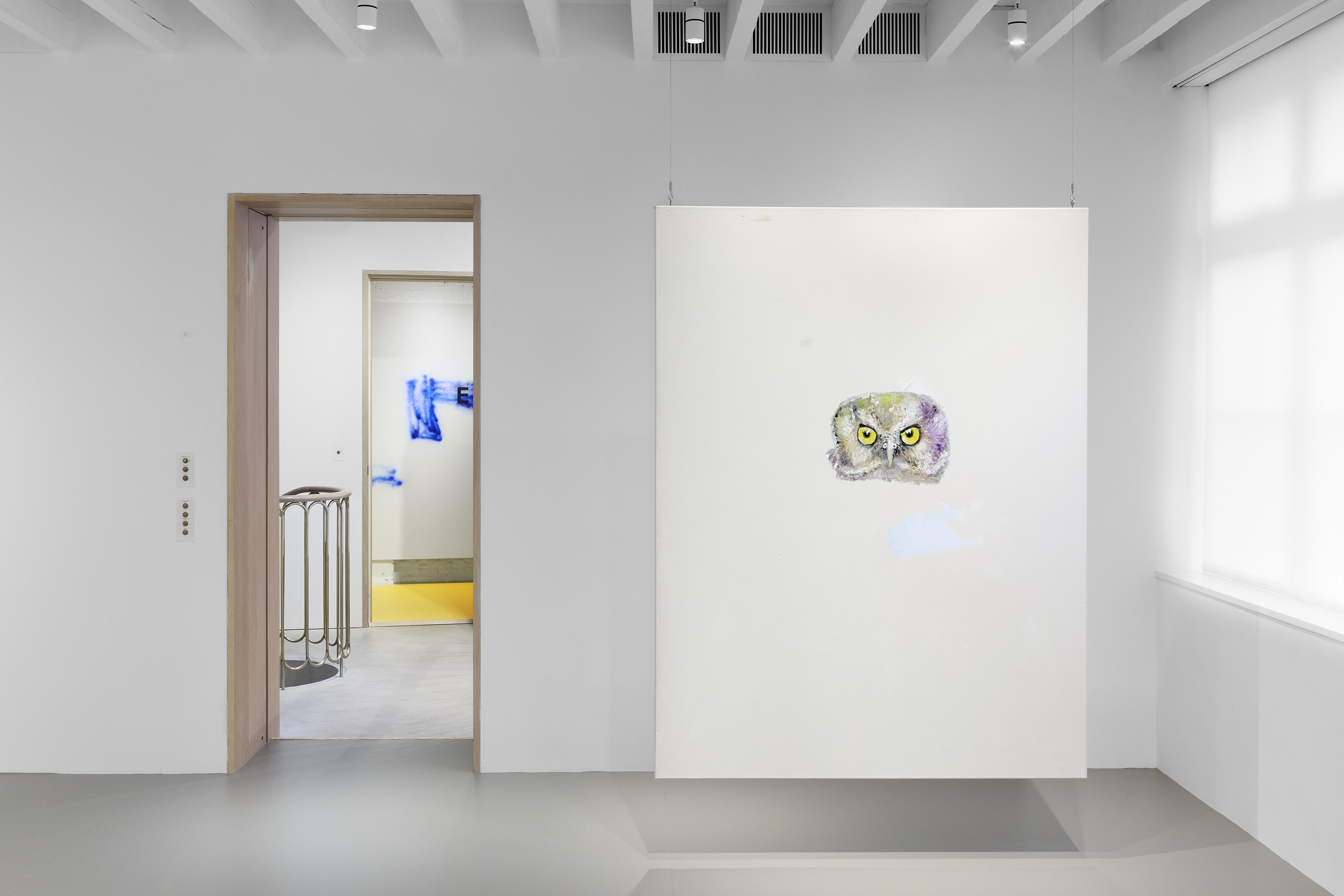 David Ostrowski, image 15 of 22