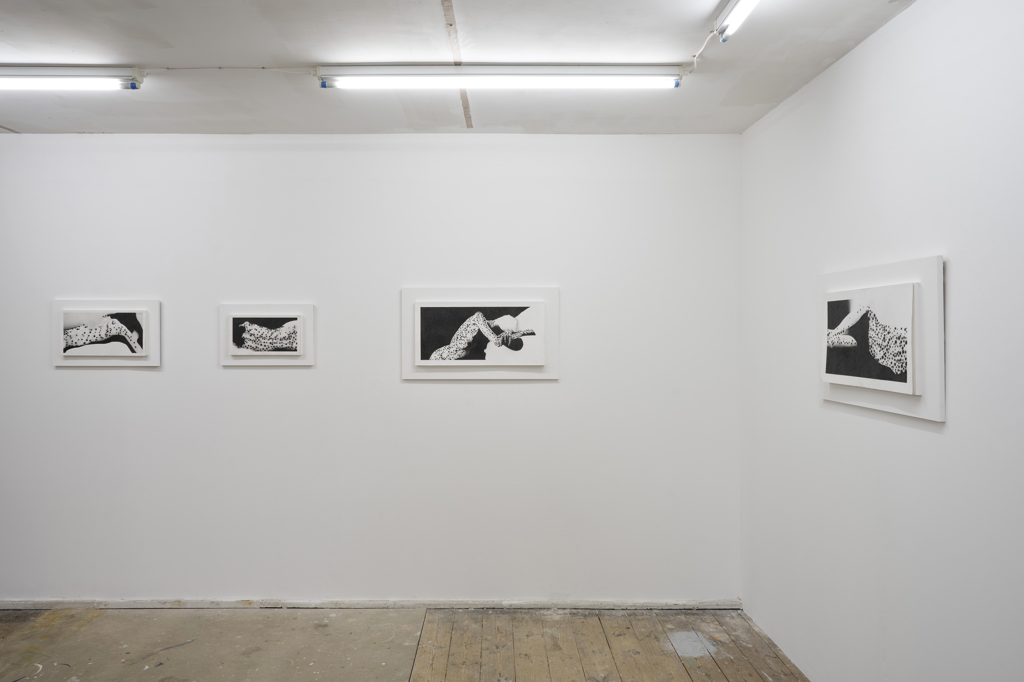 Benjamin Anderson, Spotted Figures at Gestures, photo 2
