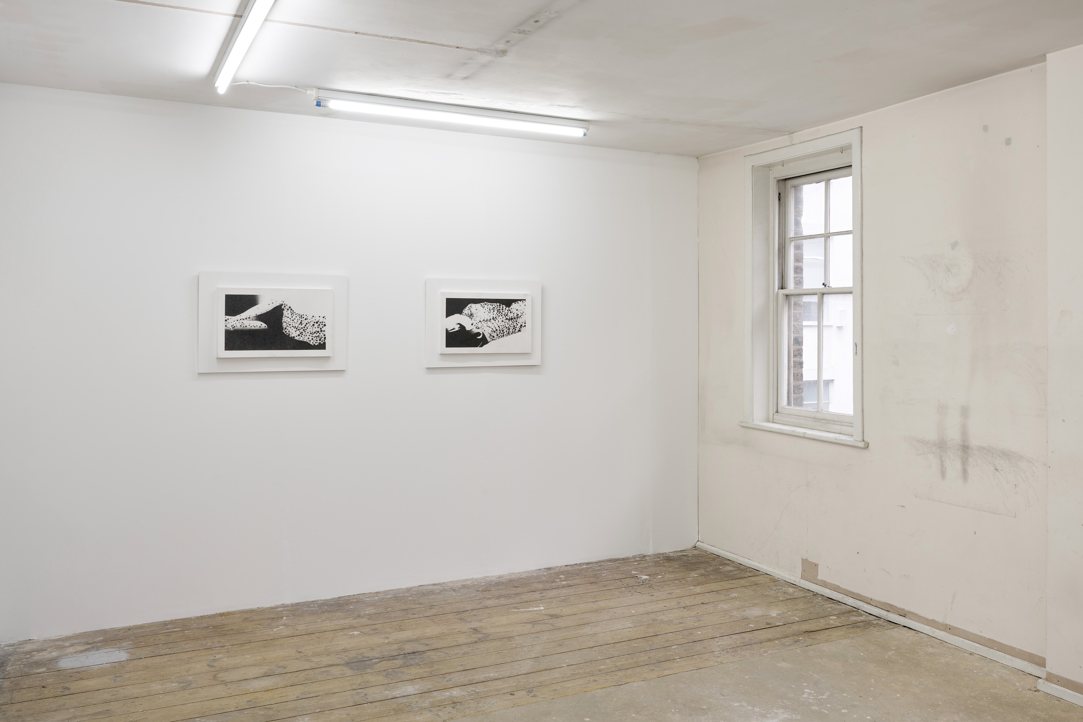 Benjamin Anderson, Spotted Figures at Gestures, photo 3