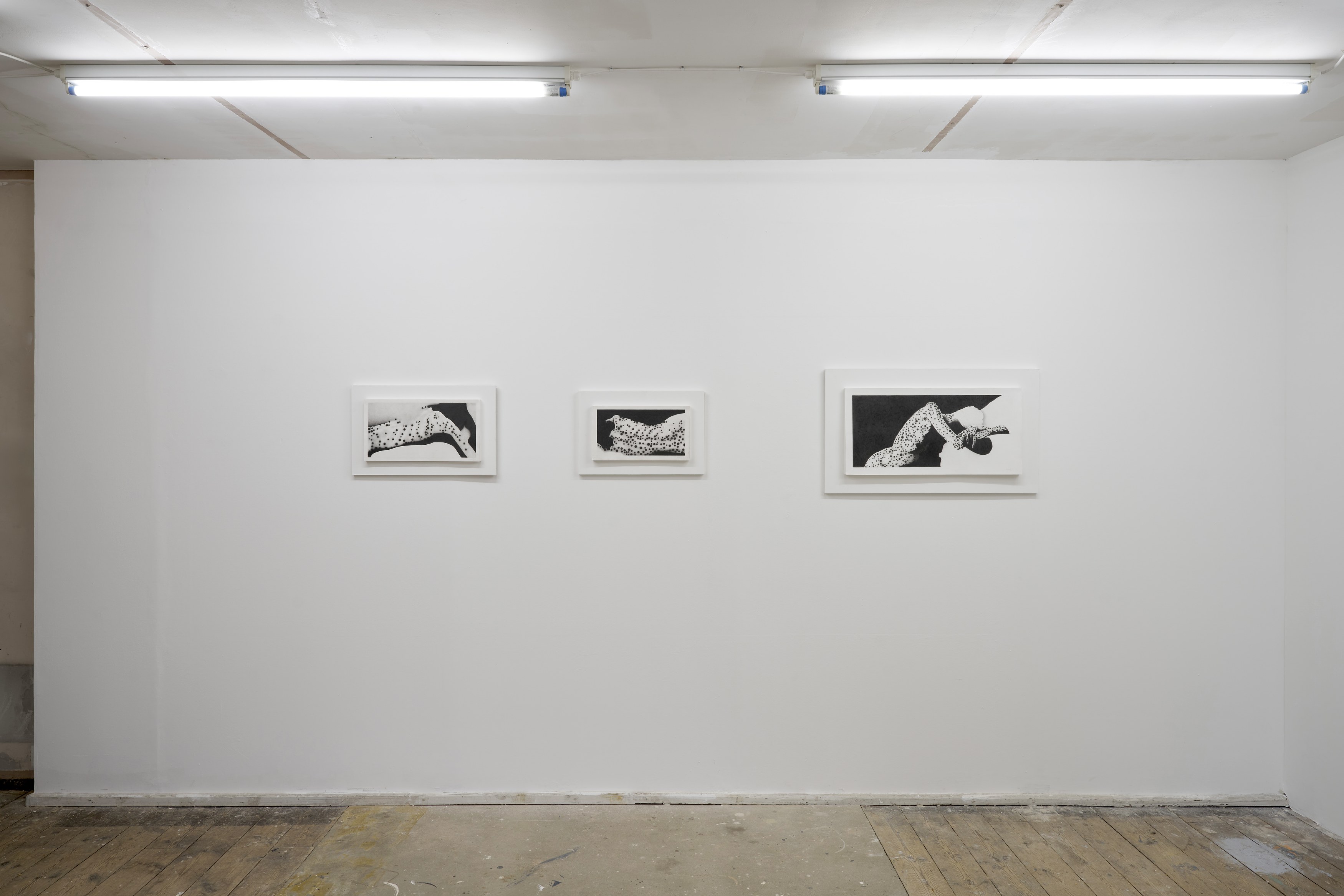 Benjamin Anderson, Spotted Figures at Gestures, photo 4
