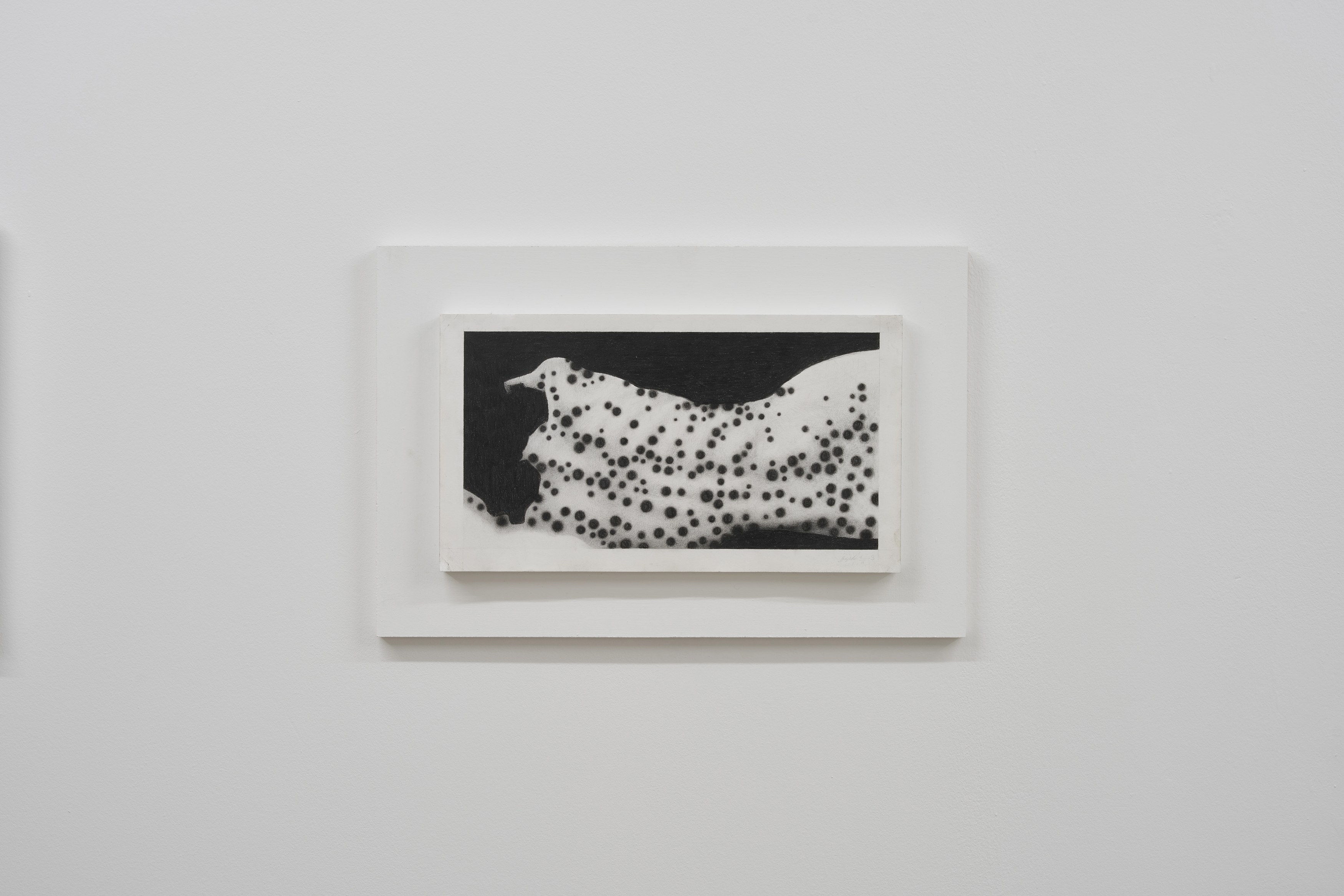 Benjamin Anderson, Spotted Figures at Gestures, photo 7