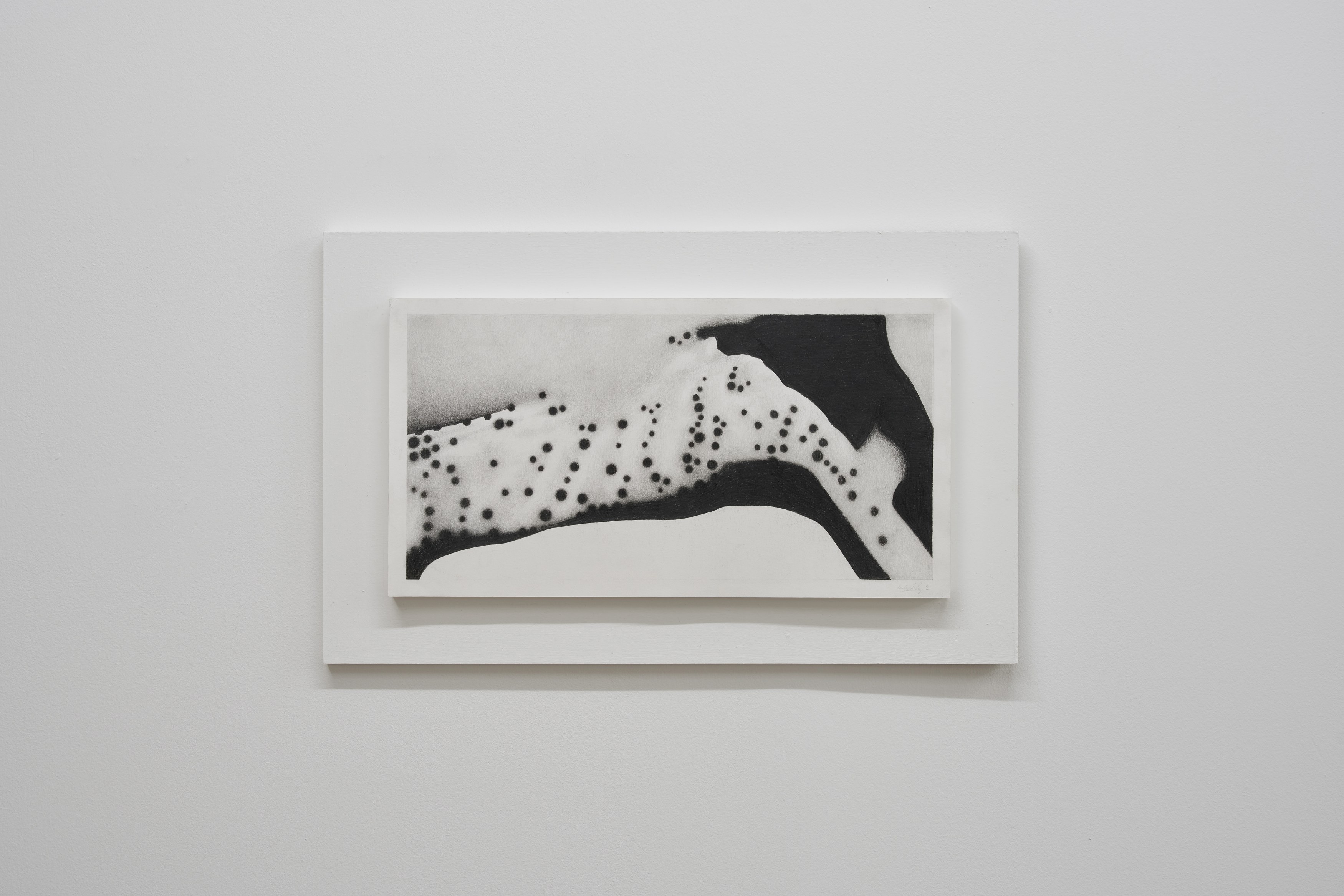 Benjamin Anderson, Spotted Figures at Gestures, photo 5