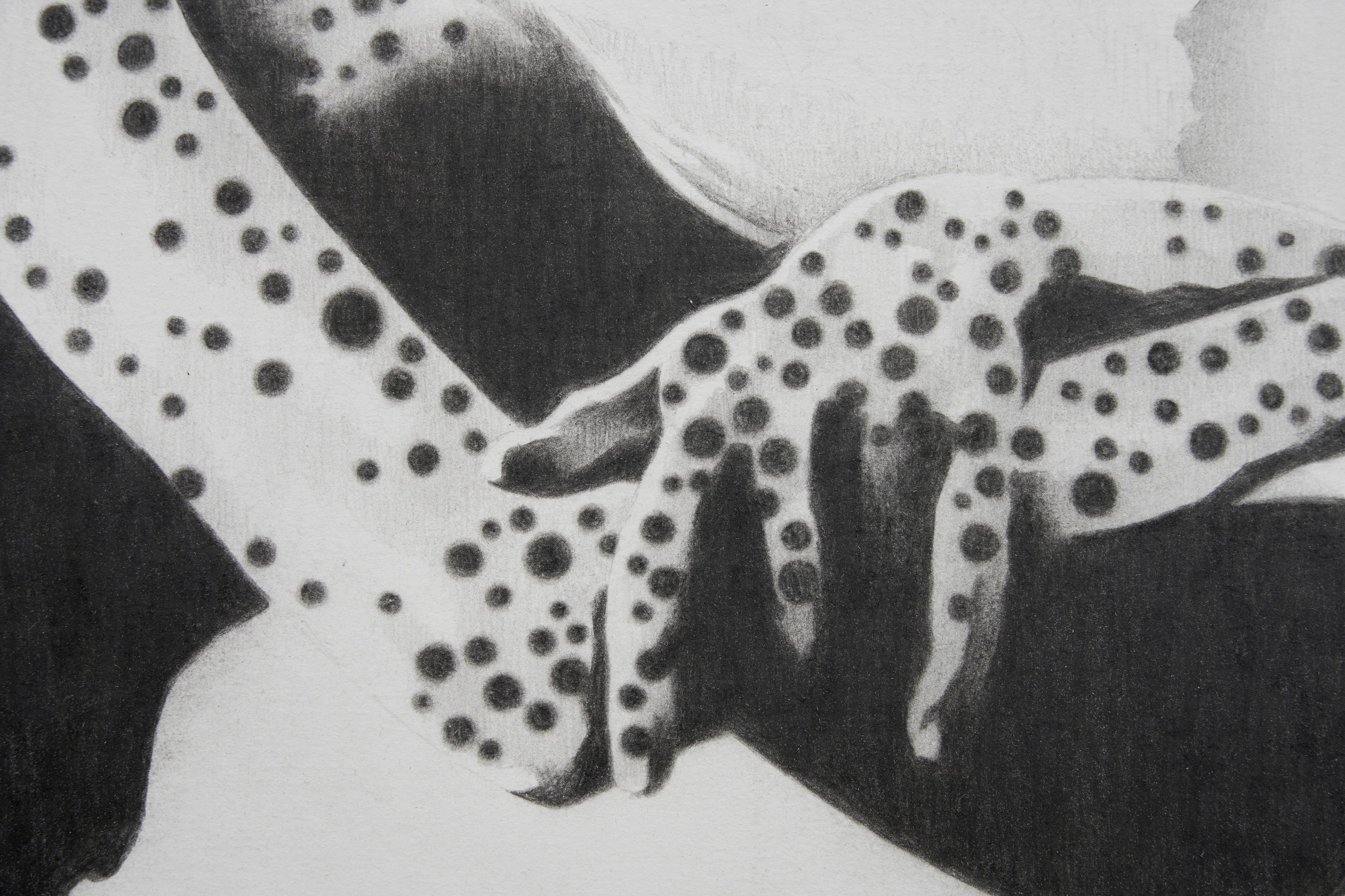 Benjamin Anderson, Spotted Figures at Gestures, photo 10
