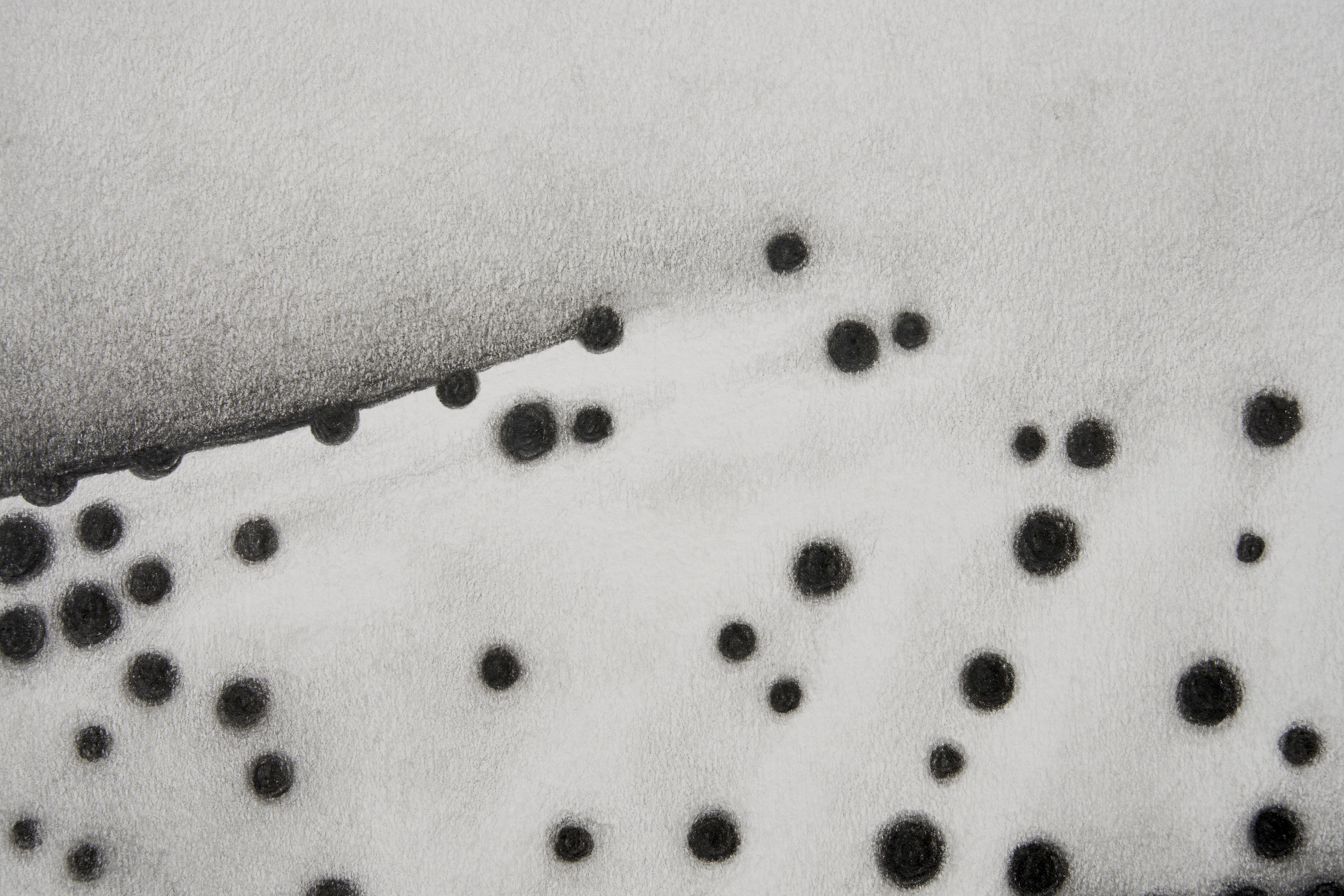 Benjamin Anderson, Spotted Figures at Gestures, photo 6