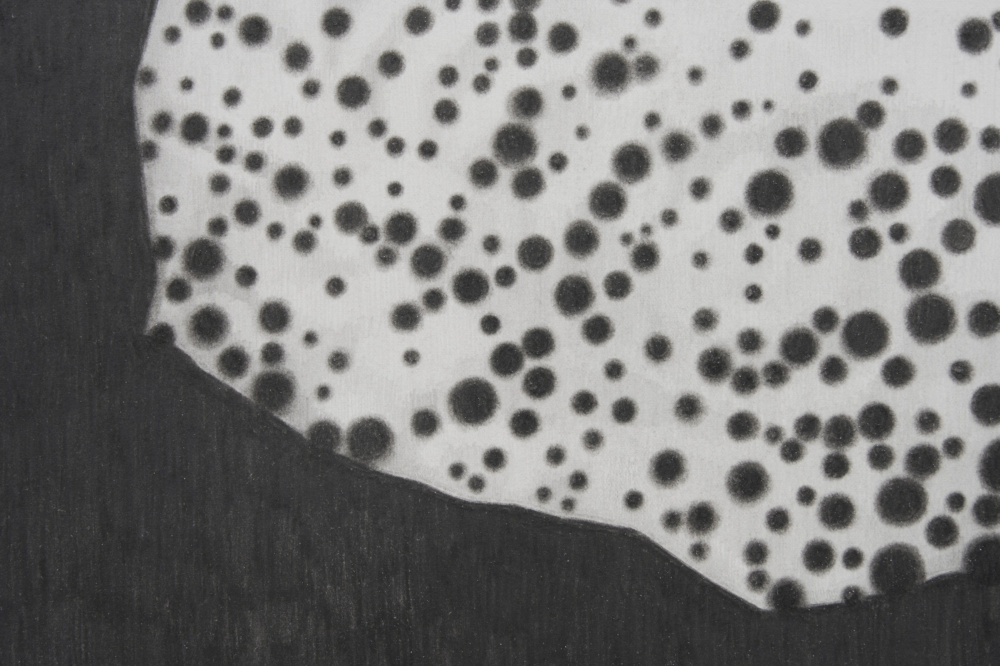 Benjamin Anderson, Spotted Figures at Gestures, photo 13