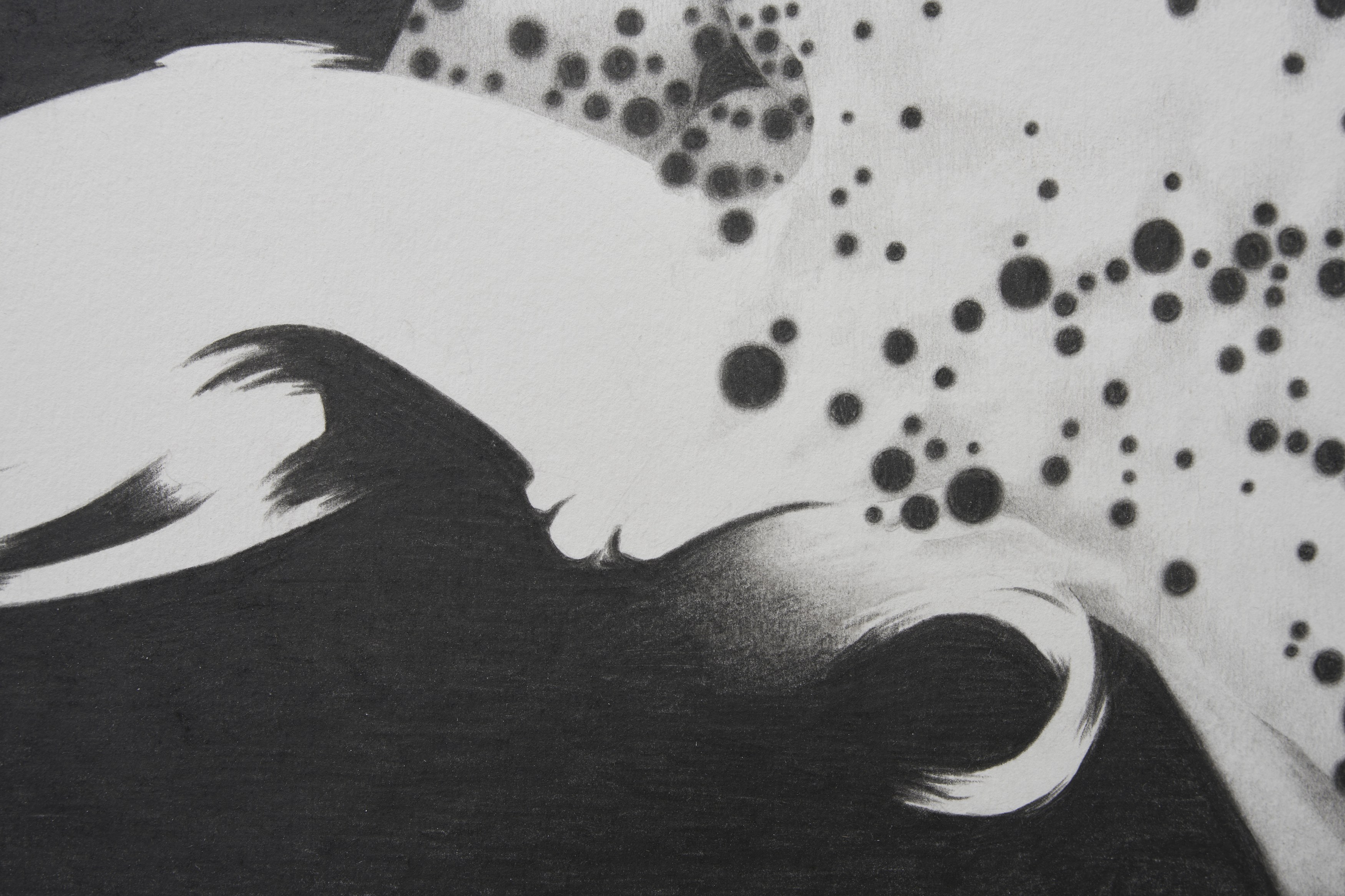 Benjamin Anderson, Spotted Figures at Gestures, photo 16