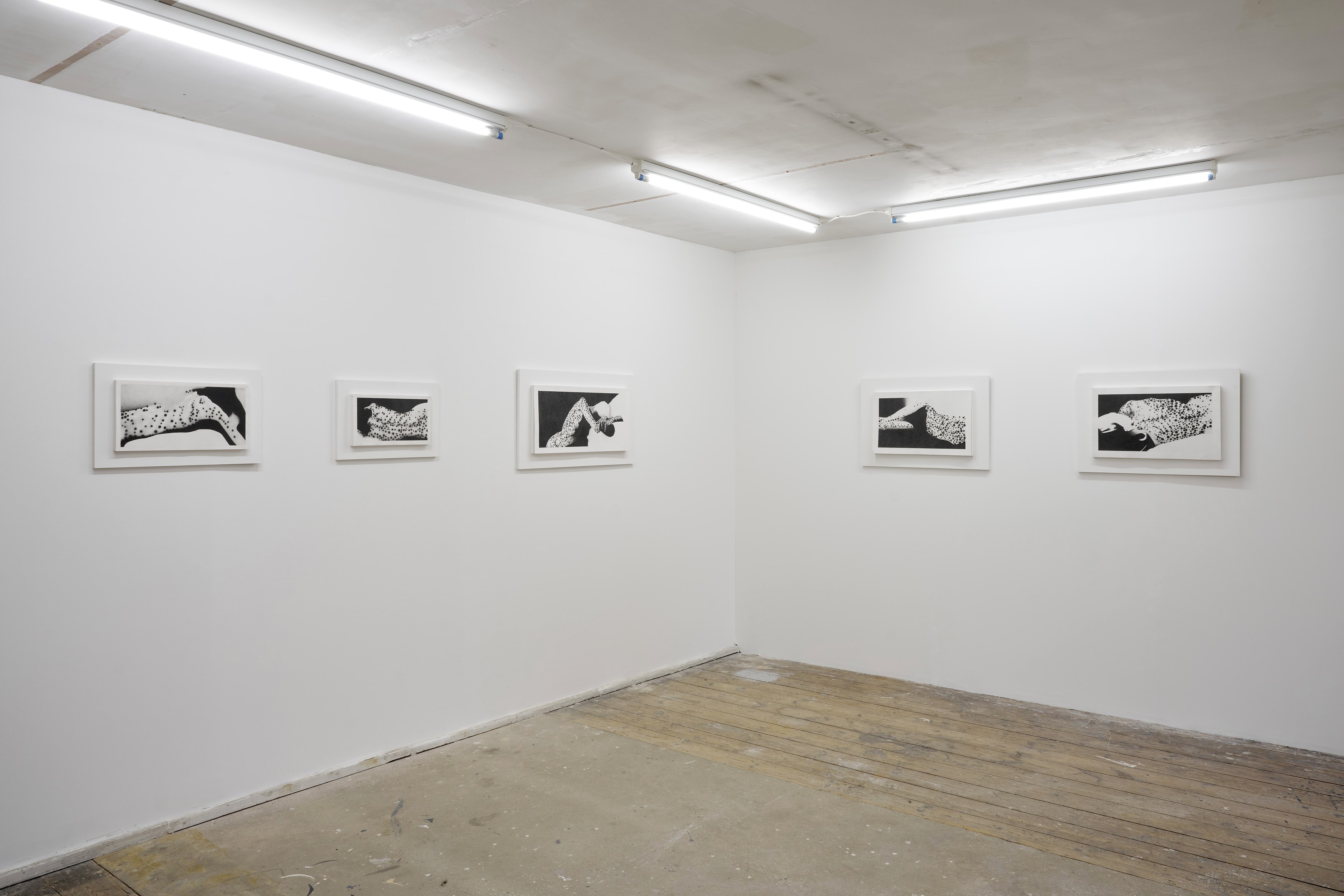 Benjamin Anderson, Spotted Figures at Gestures, photo 17